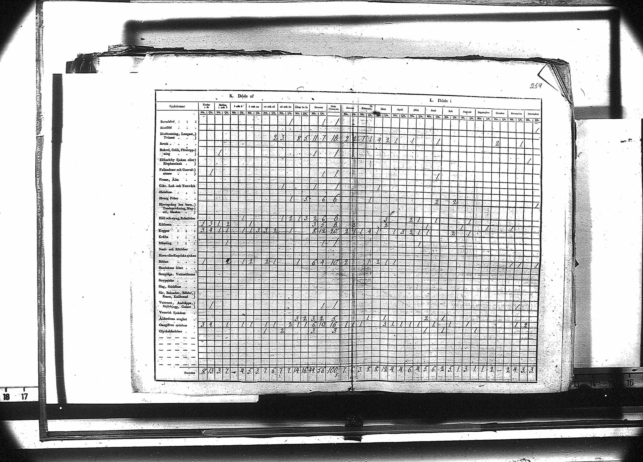 [ kuvat/272.jpg ]
