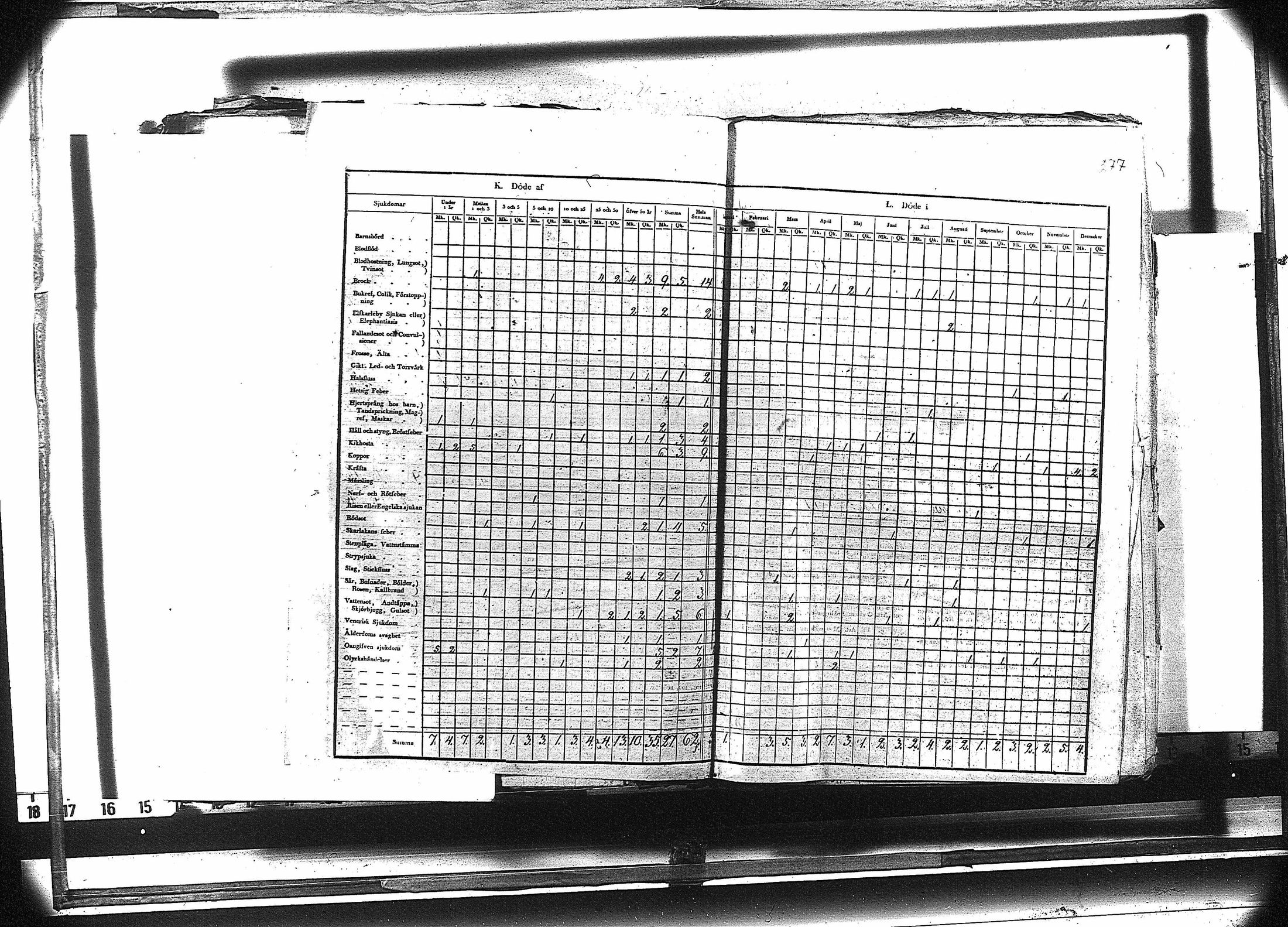 [ kuvat/290.jpg ]