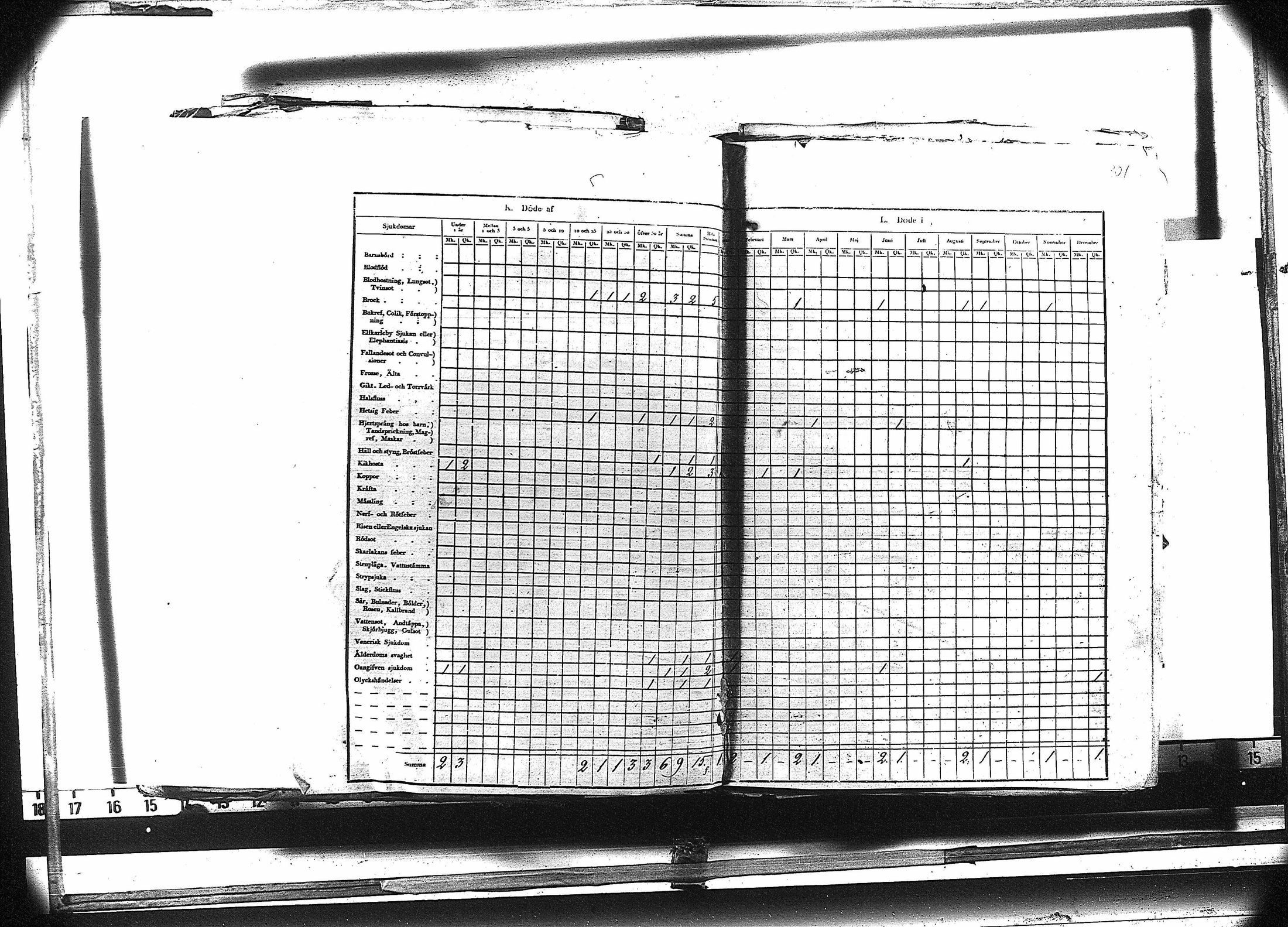 [ kuvat/314.jpg ]