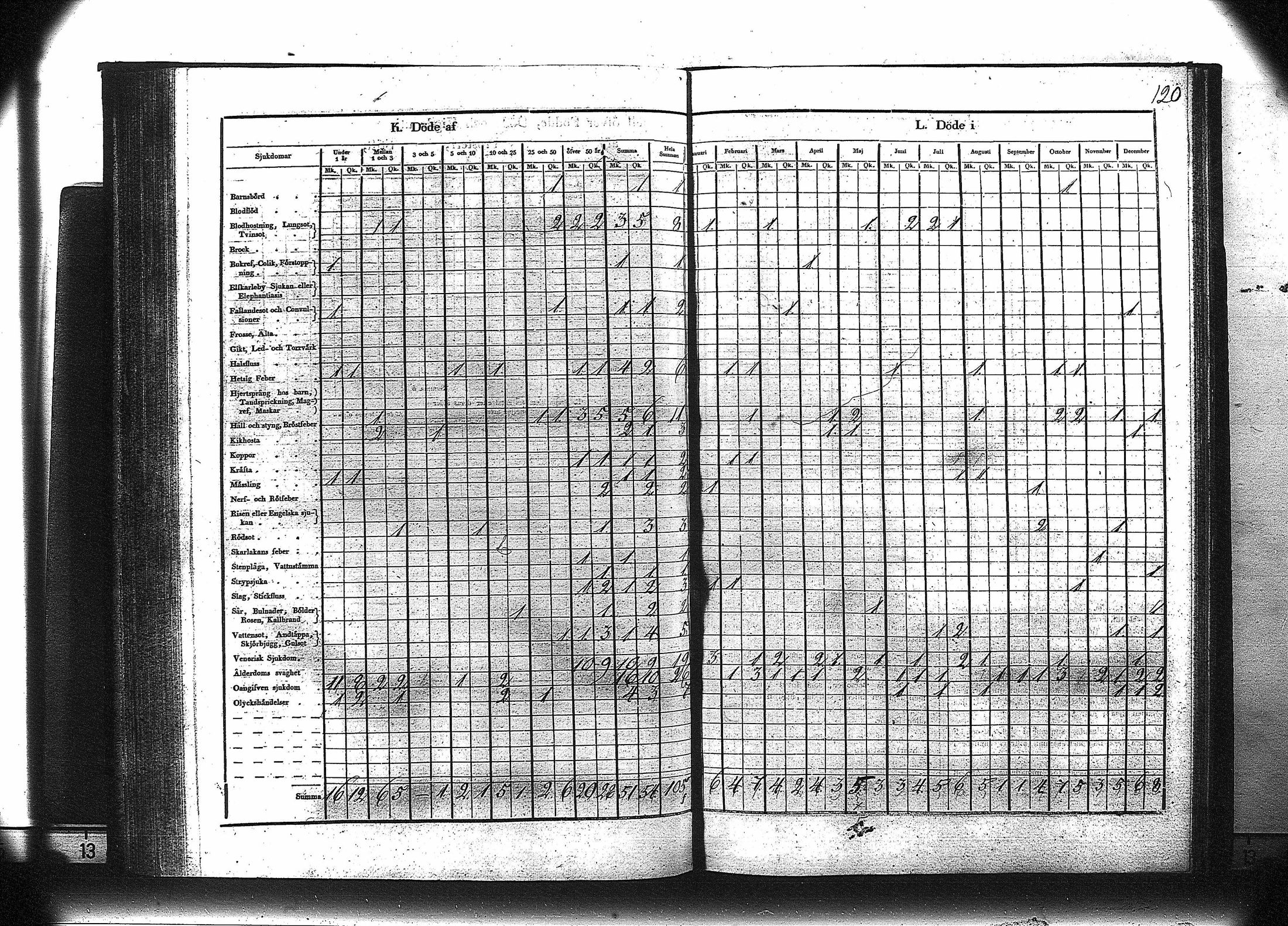 [ kuvat/121.jpg ]