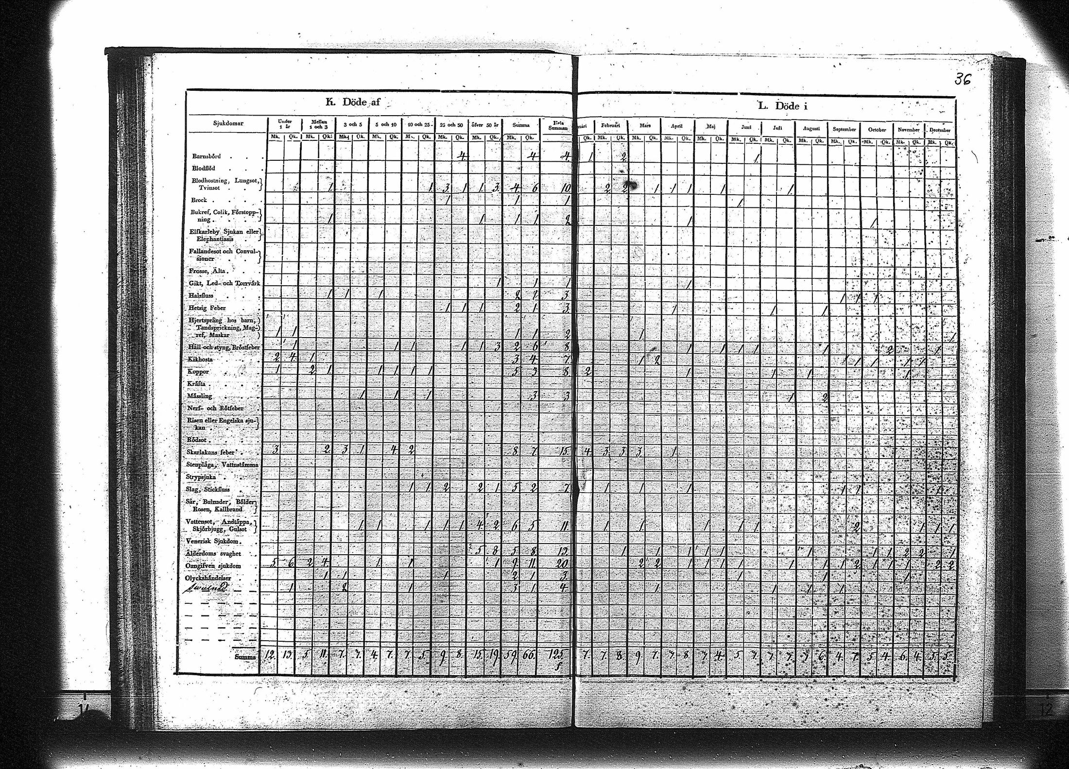 [ kuvat/37.jpg ]