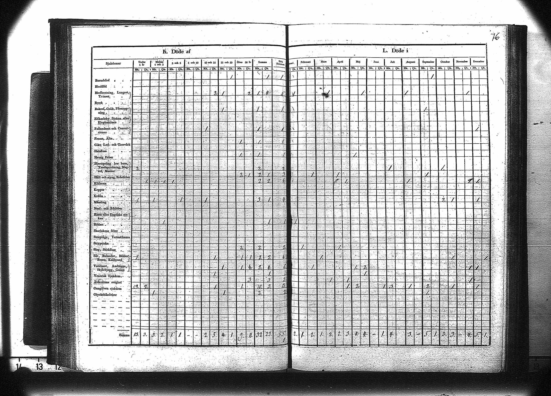[ kuvat/77.jpg ]