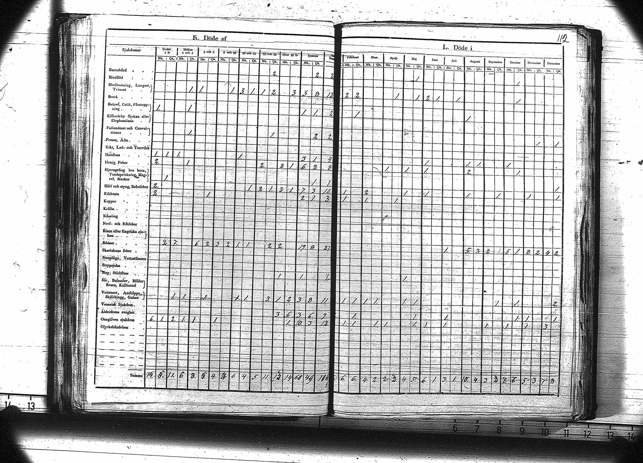 [ kuvat/125.jpg ]