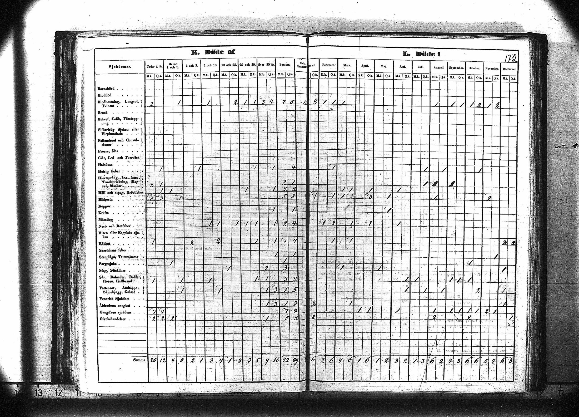 [ kuvat/185.jpg ]