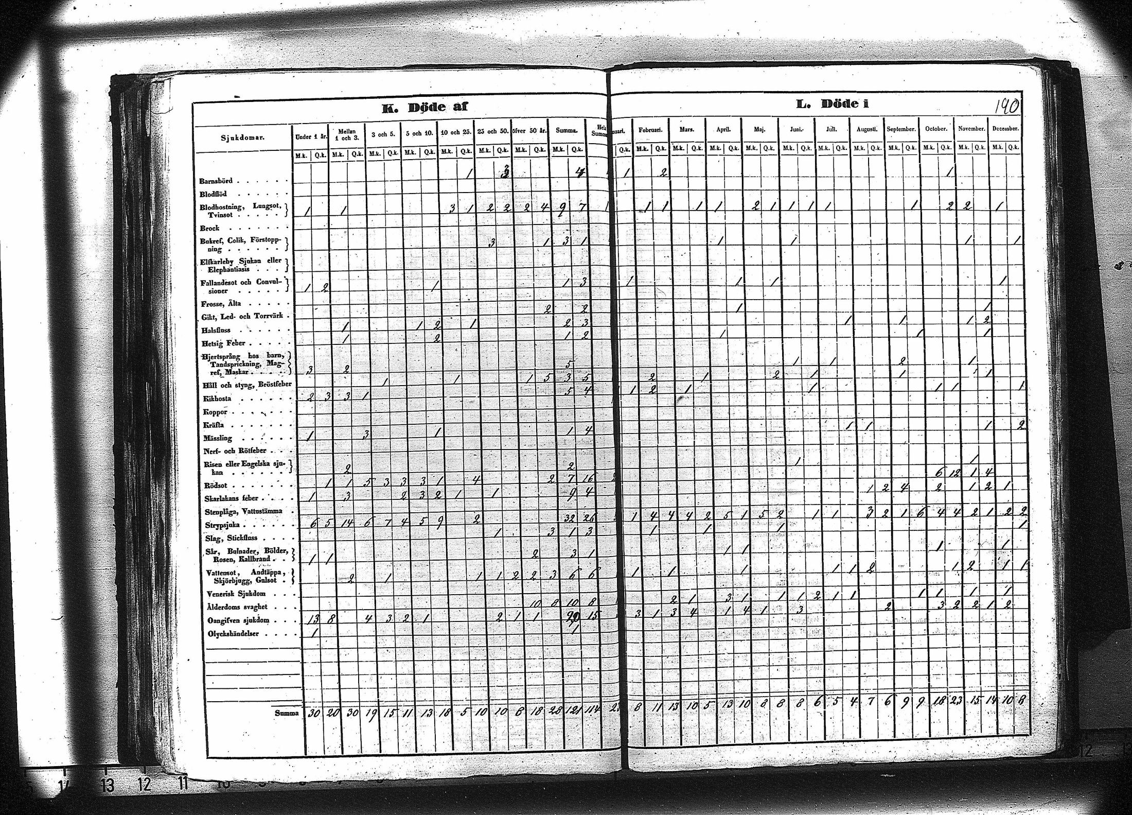 [ kuvat/203.jpg ]