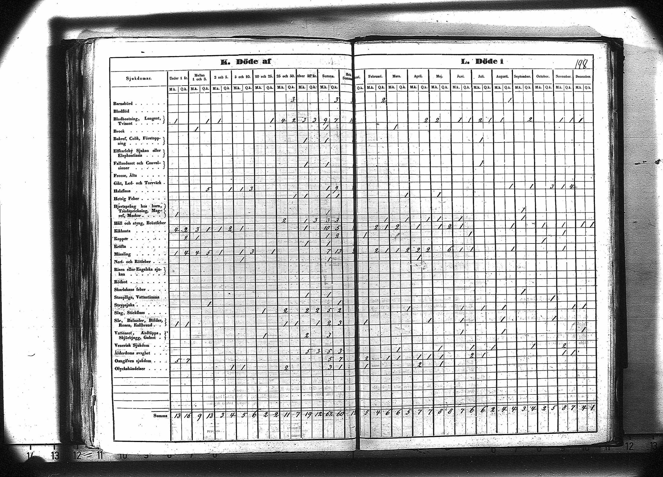 [ kuvat/211.jpg ]