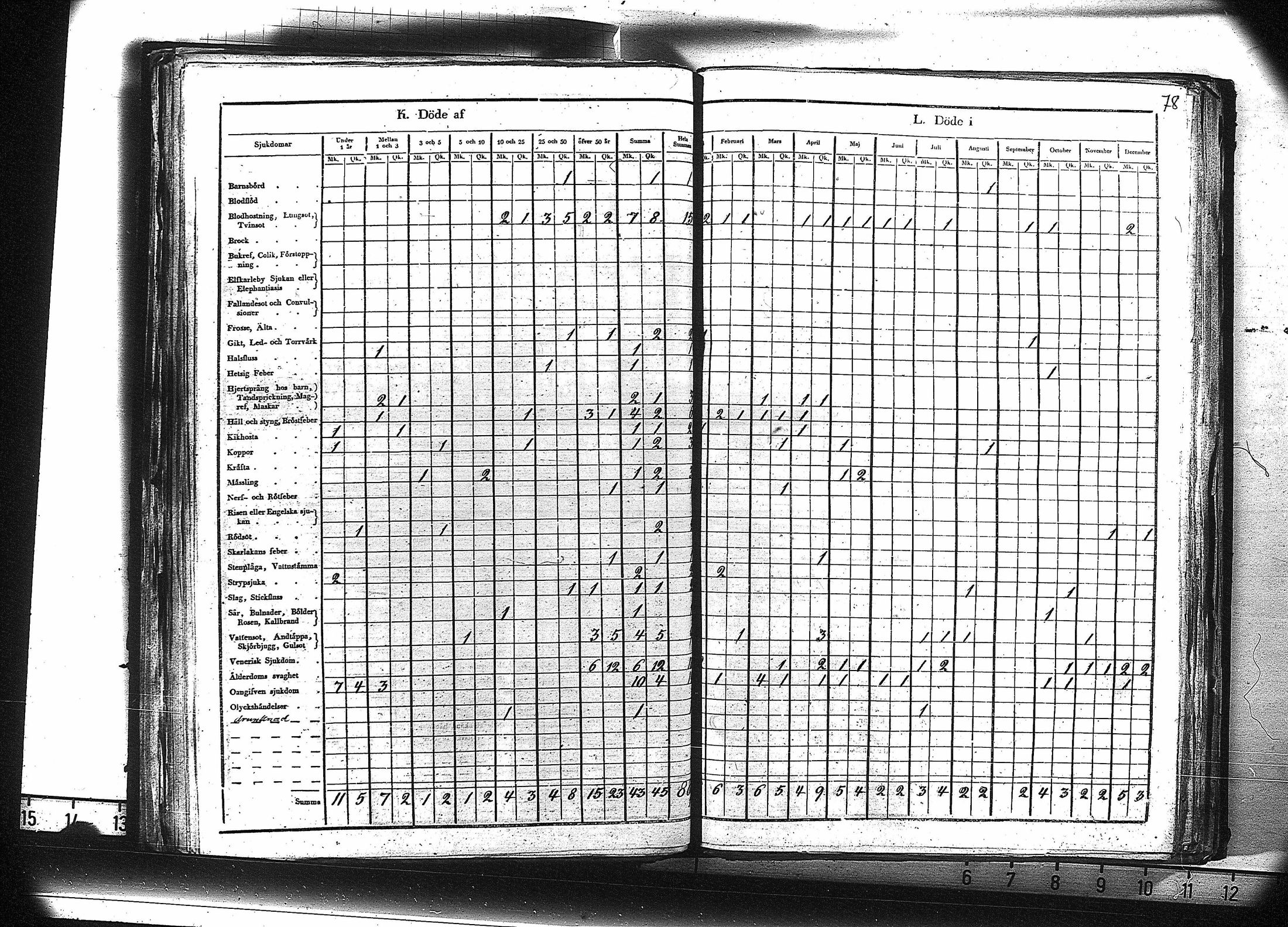[ kuvat/79.jpg ]