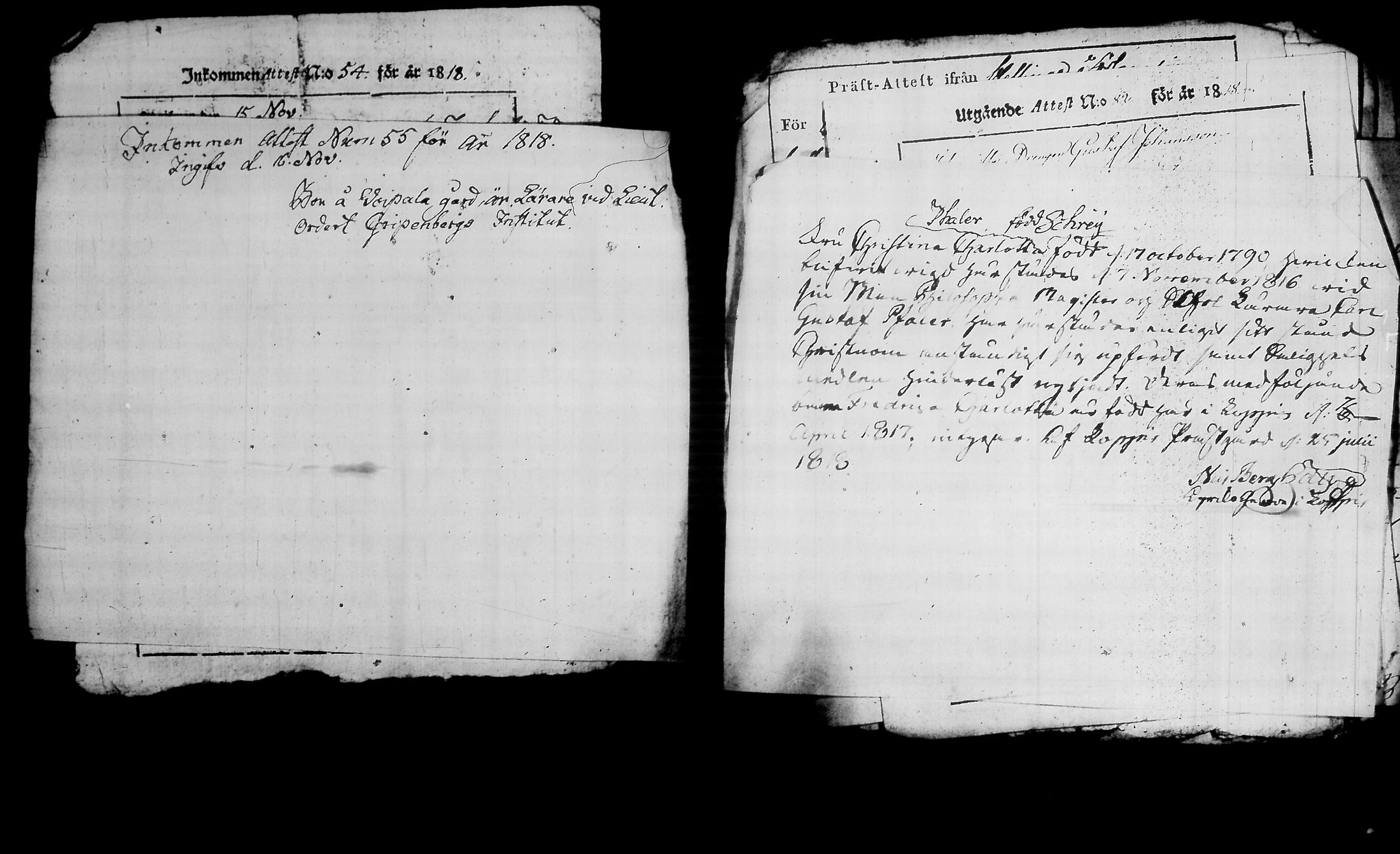[ kuvat/195.jpg ]