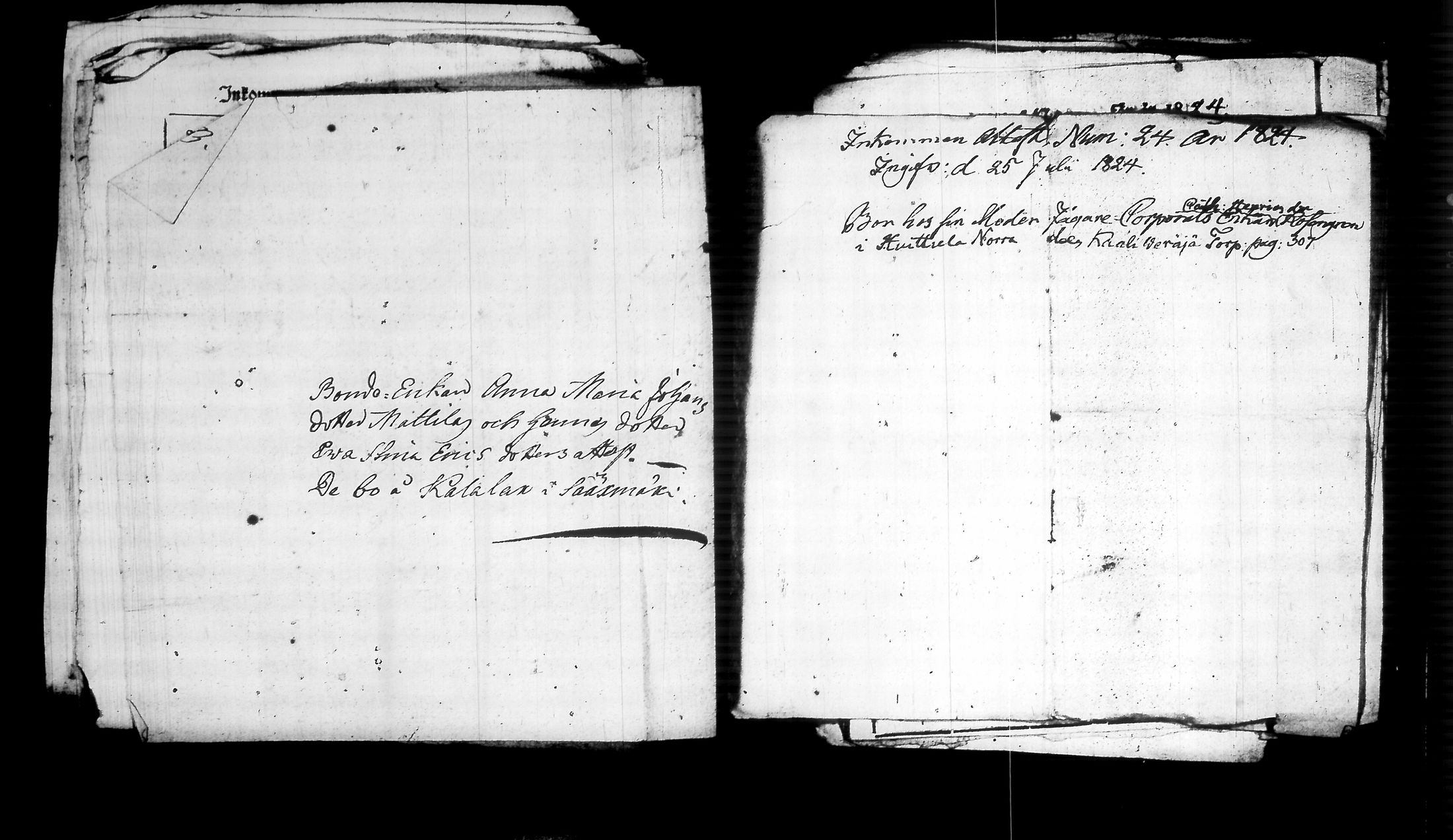[ kuvat/485.jpg ]