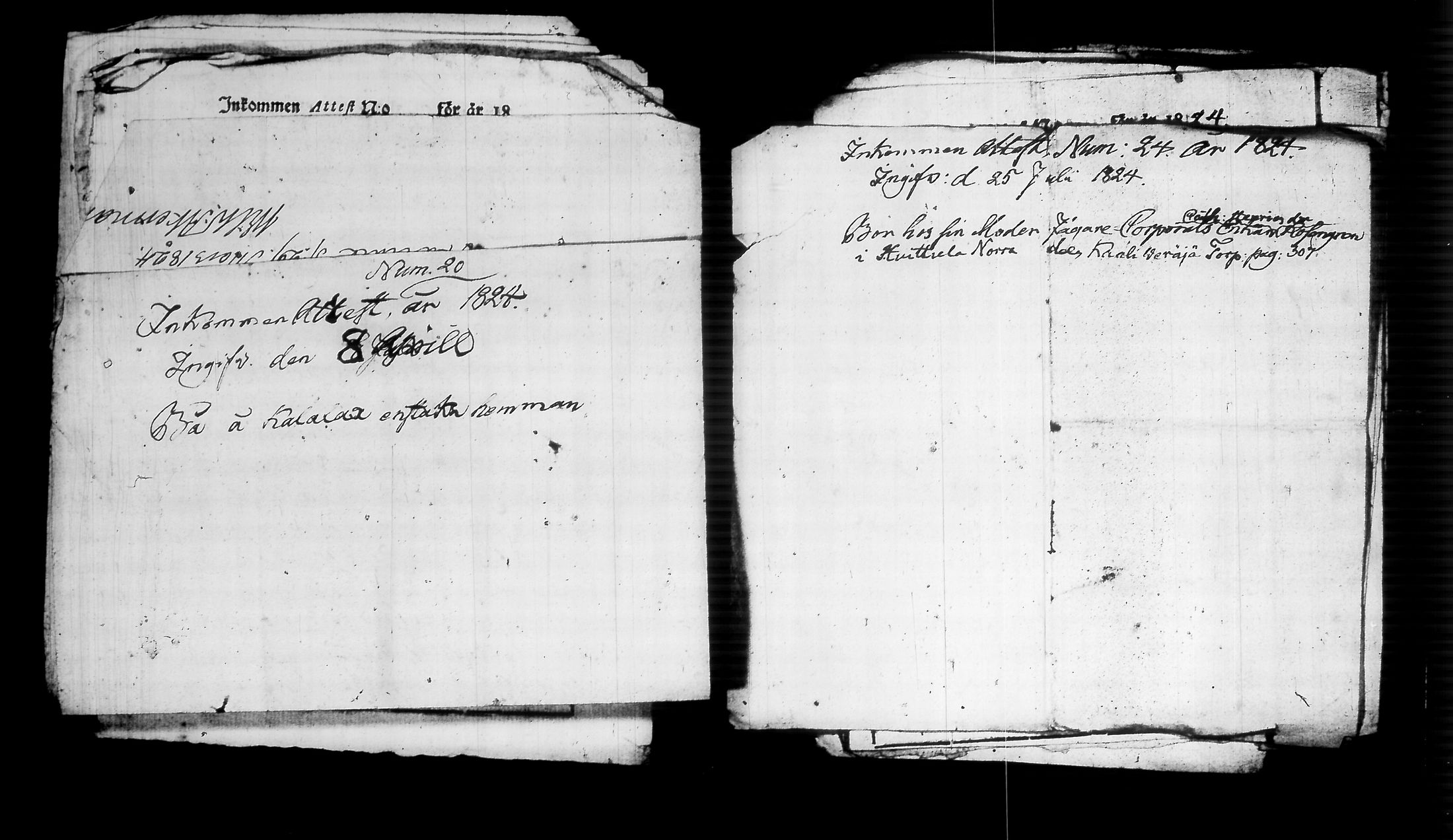 [ kuvat/486.jpg ]