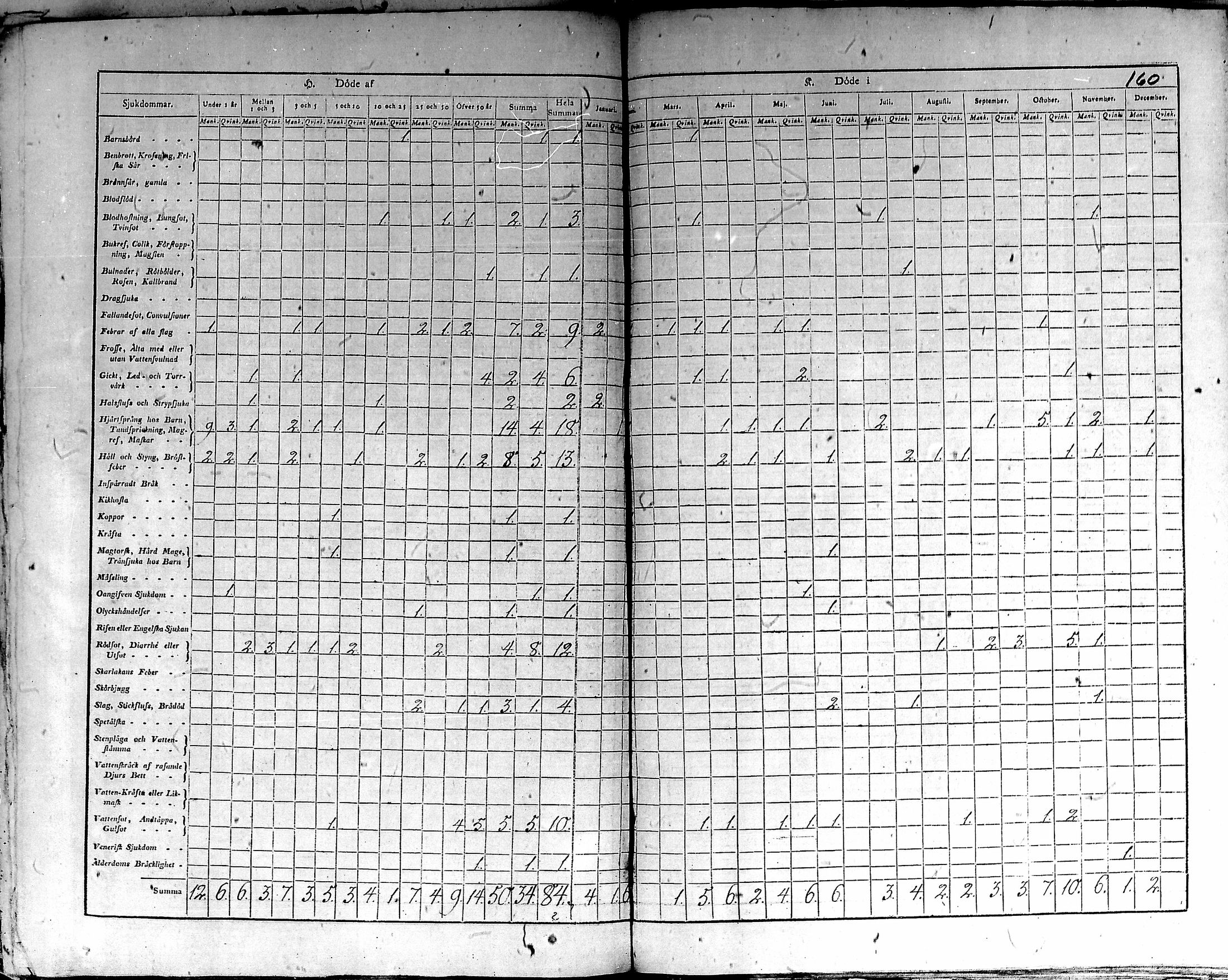 [ kuvat/163.jpg ]