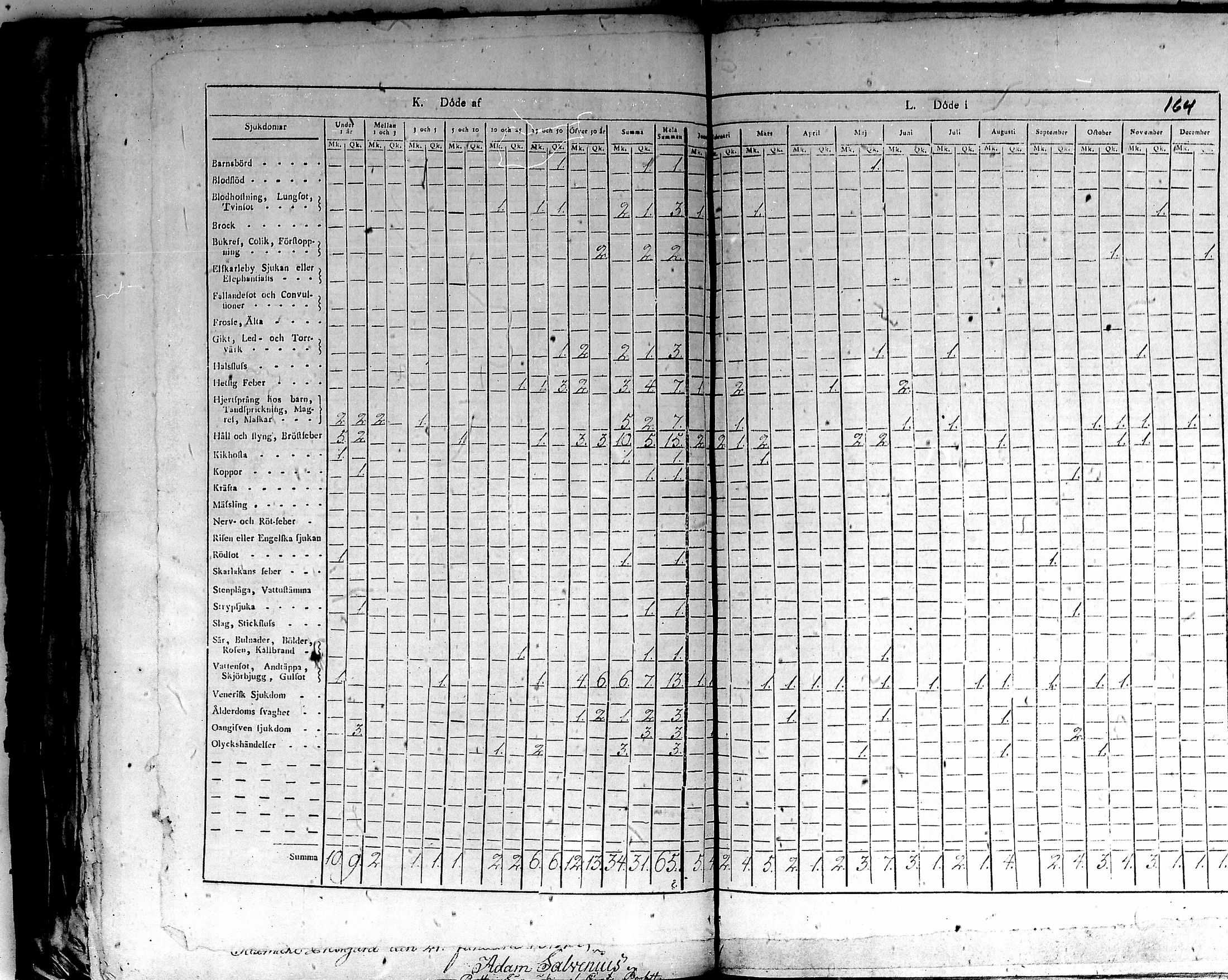 [ kuvat/167.jpg ]