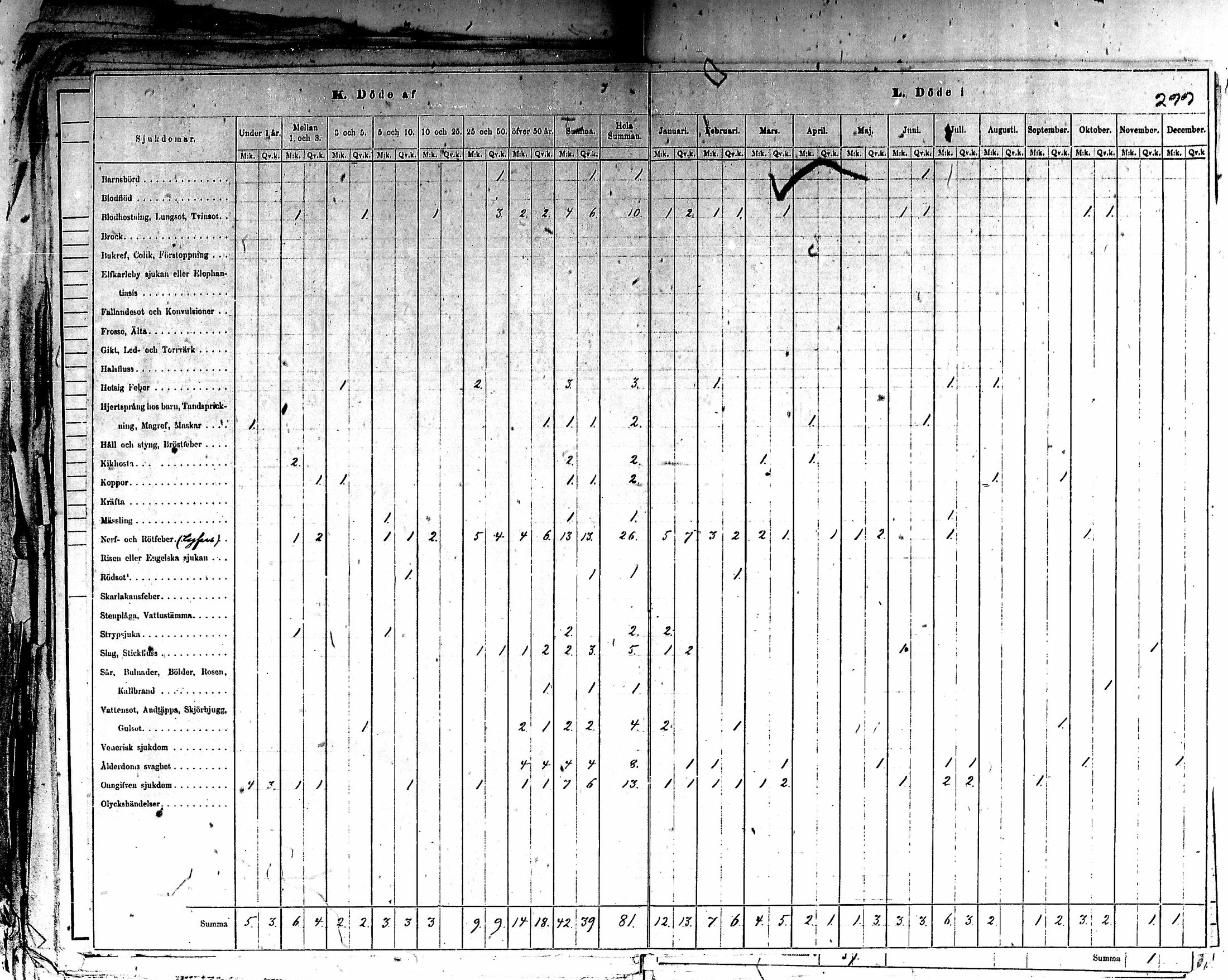 [ kuvat/302.jpg ]