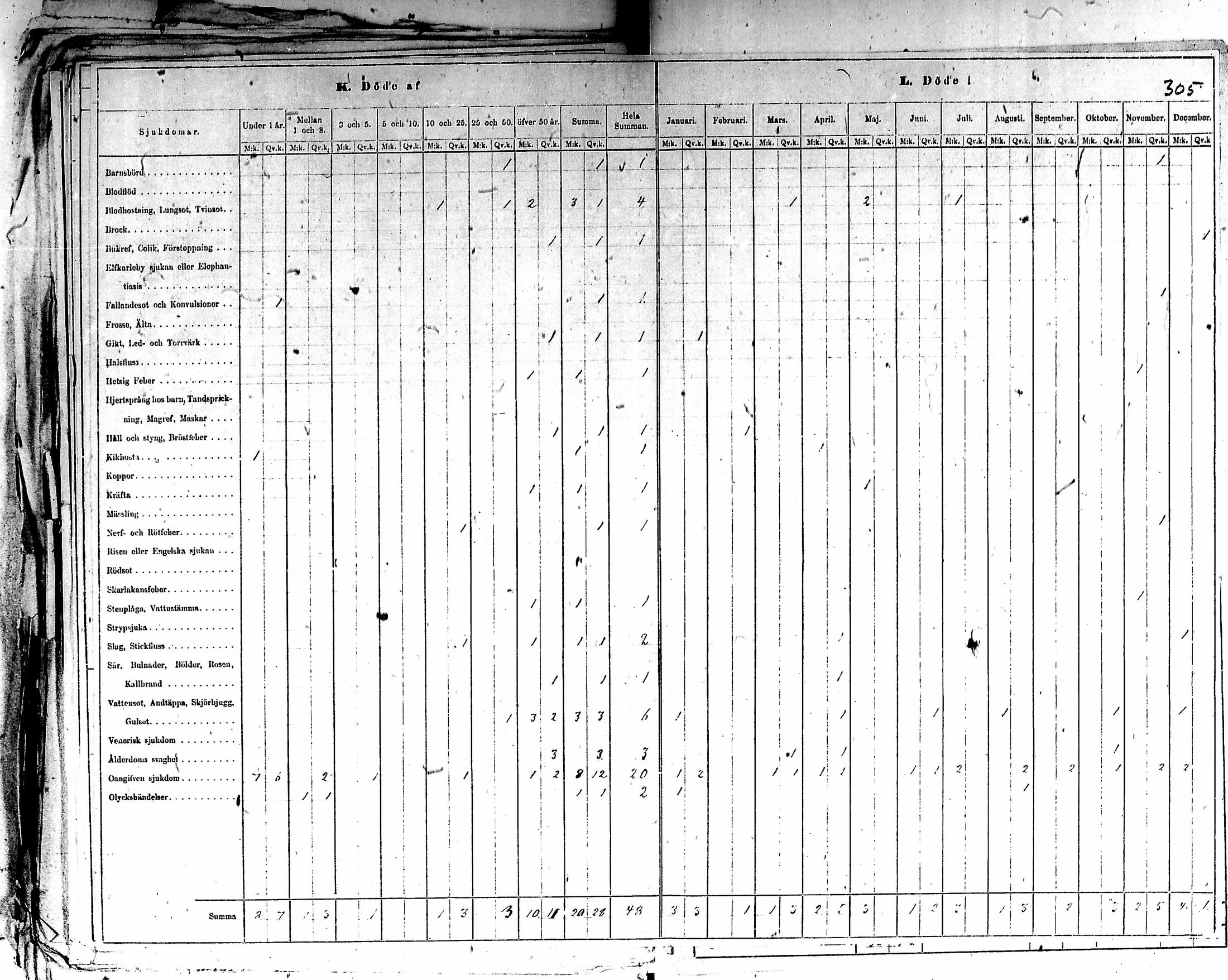 [ kuvat/308.jpg ]
