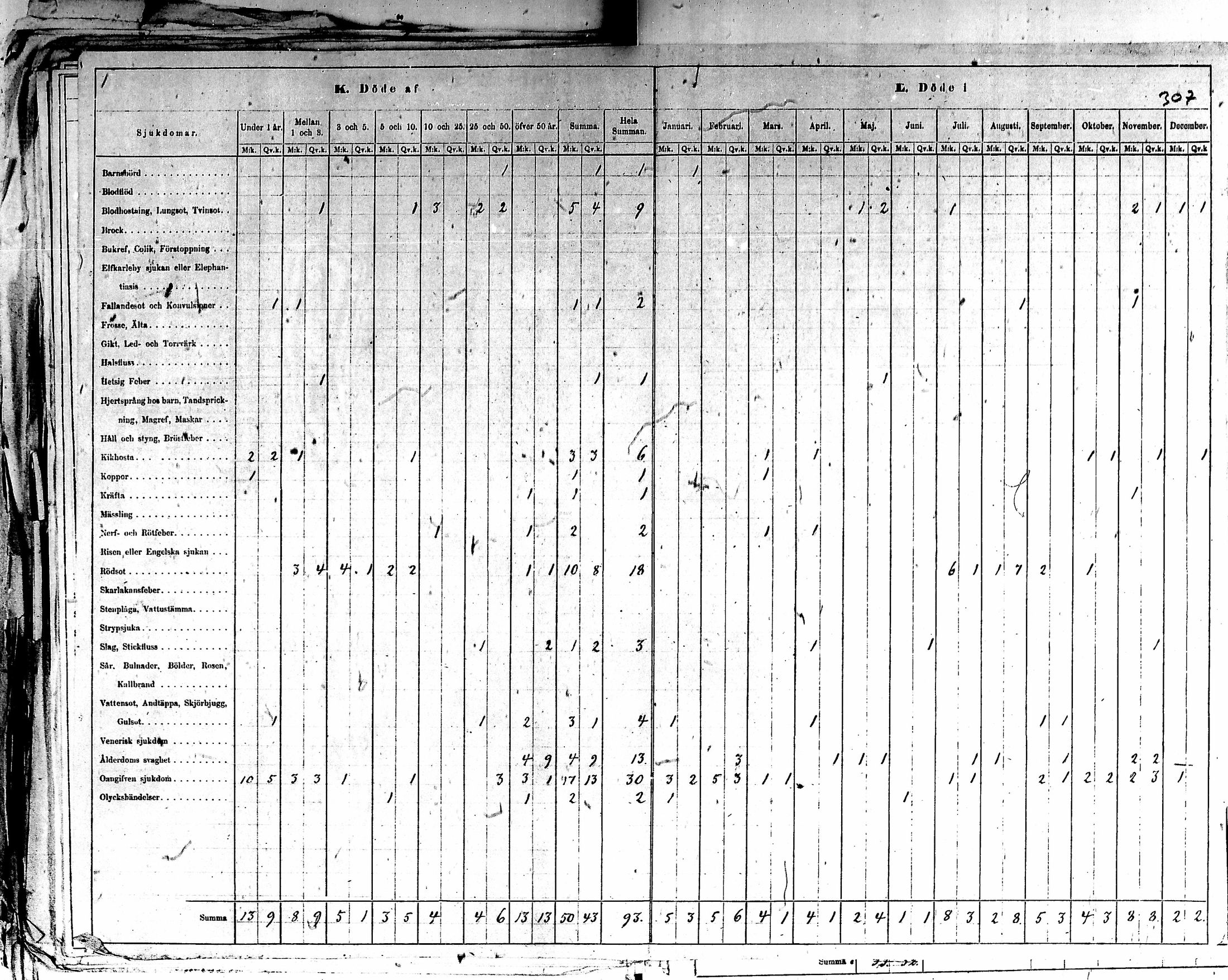 [ kuvat/310.jpg ]