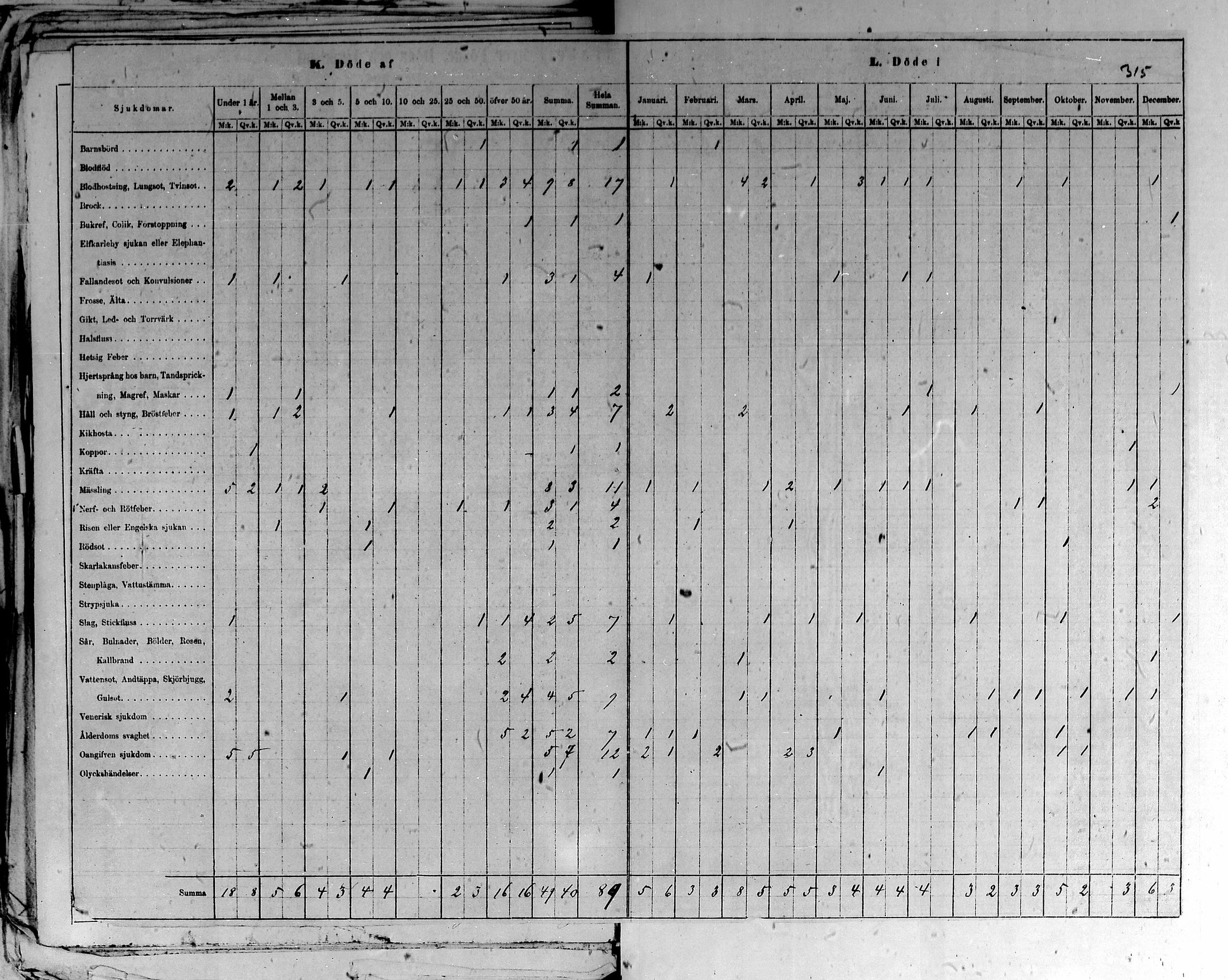 [ kuvat/318.jpg ]
