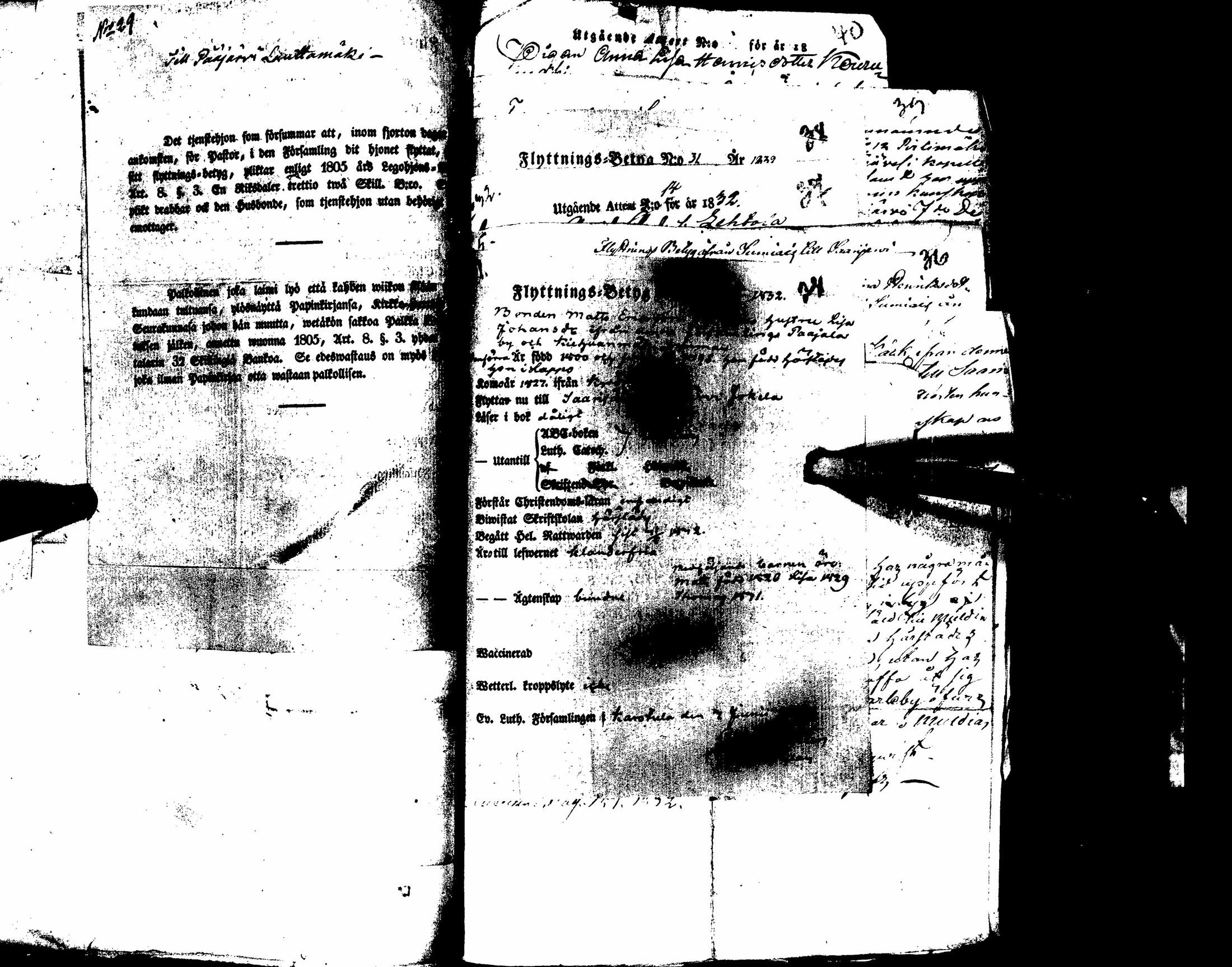 [ kuvat/972.jpg ]