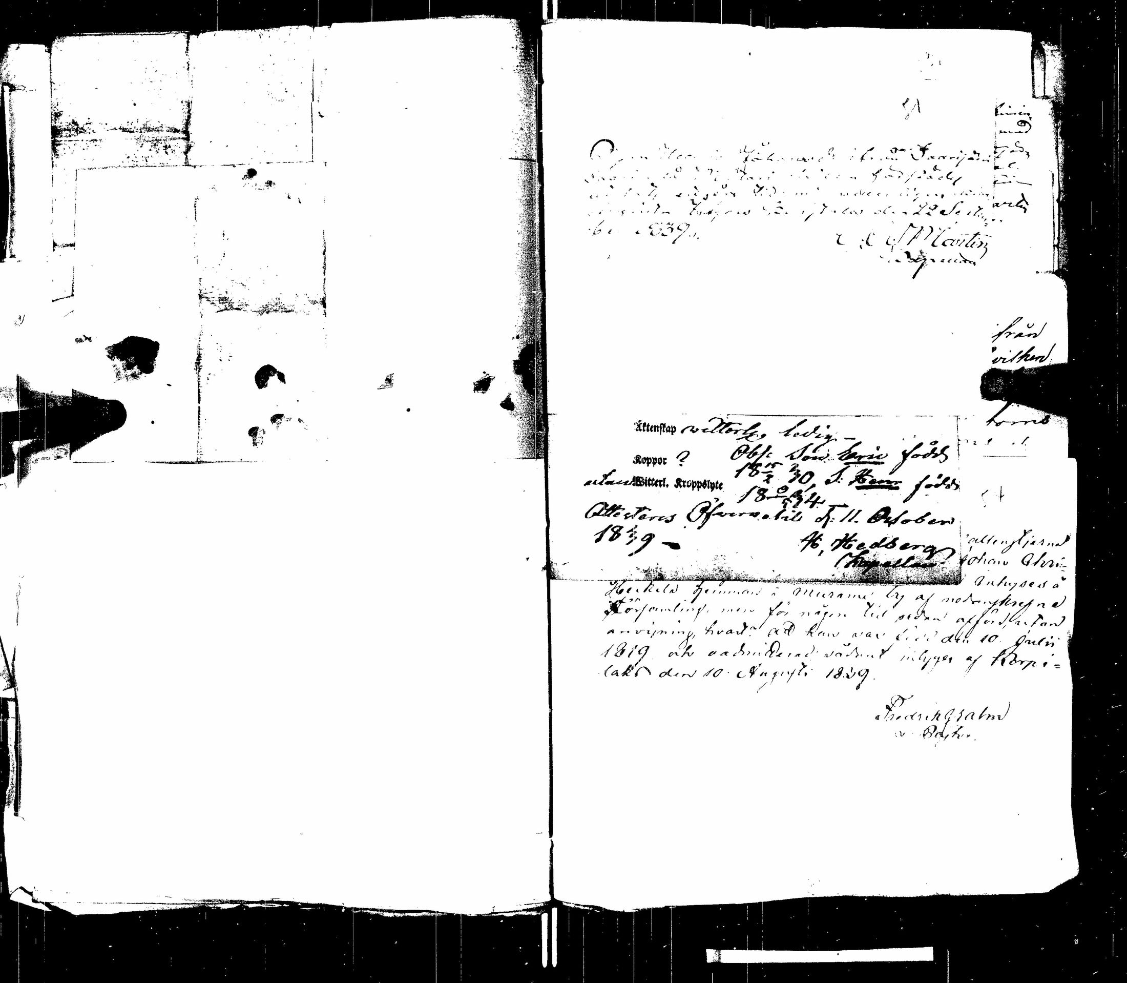 [ kuvat/359.jpg ]