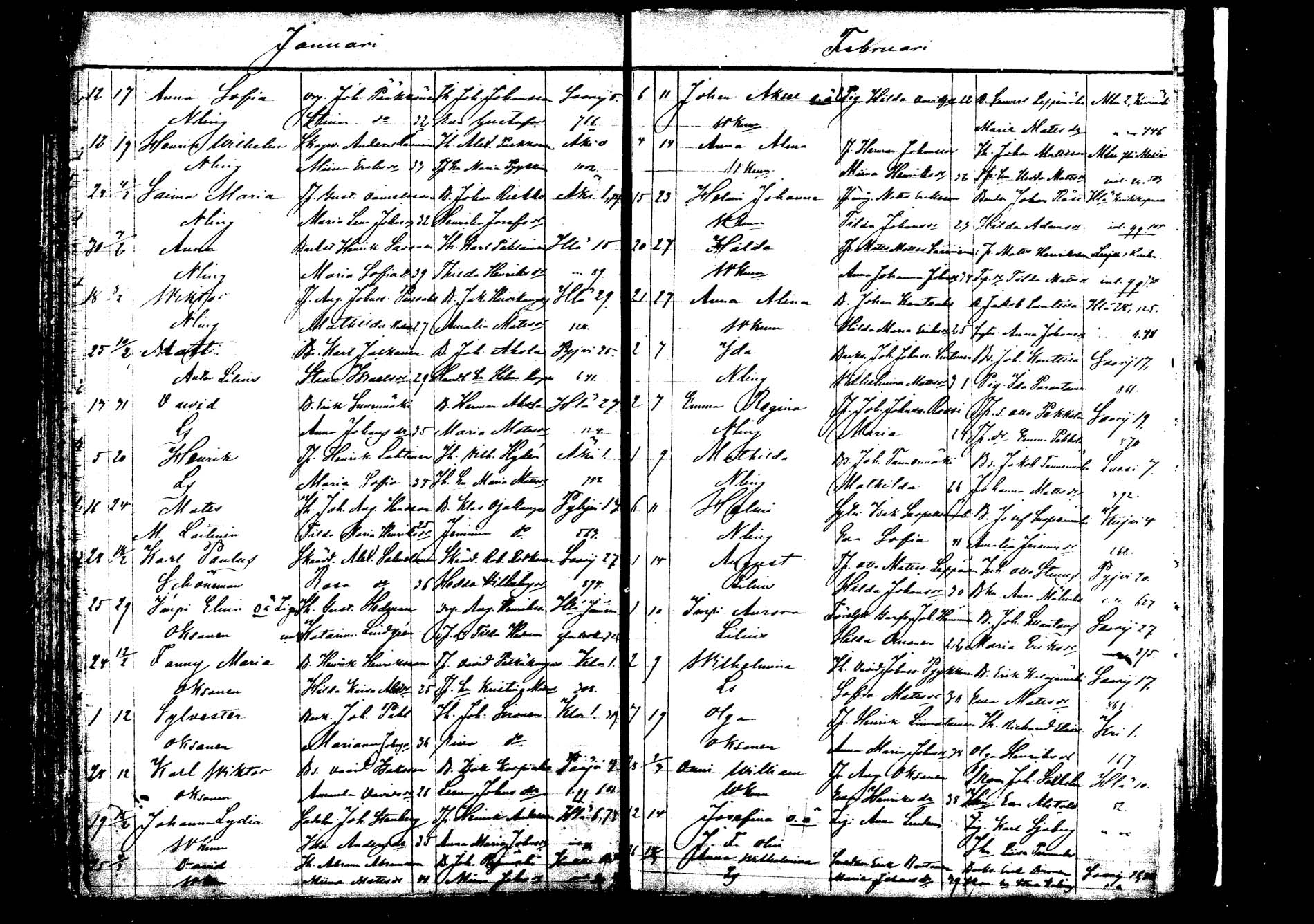 [ kuvat/181.jpg ]