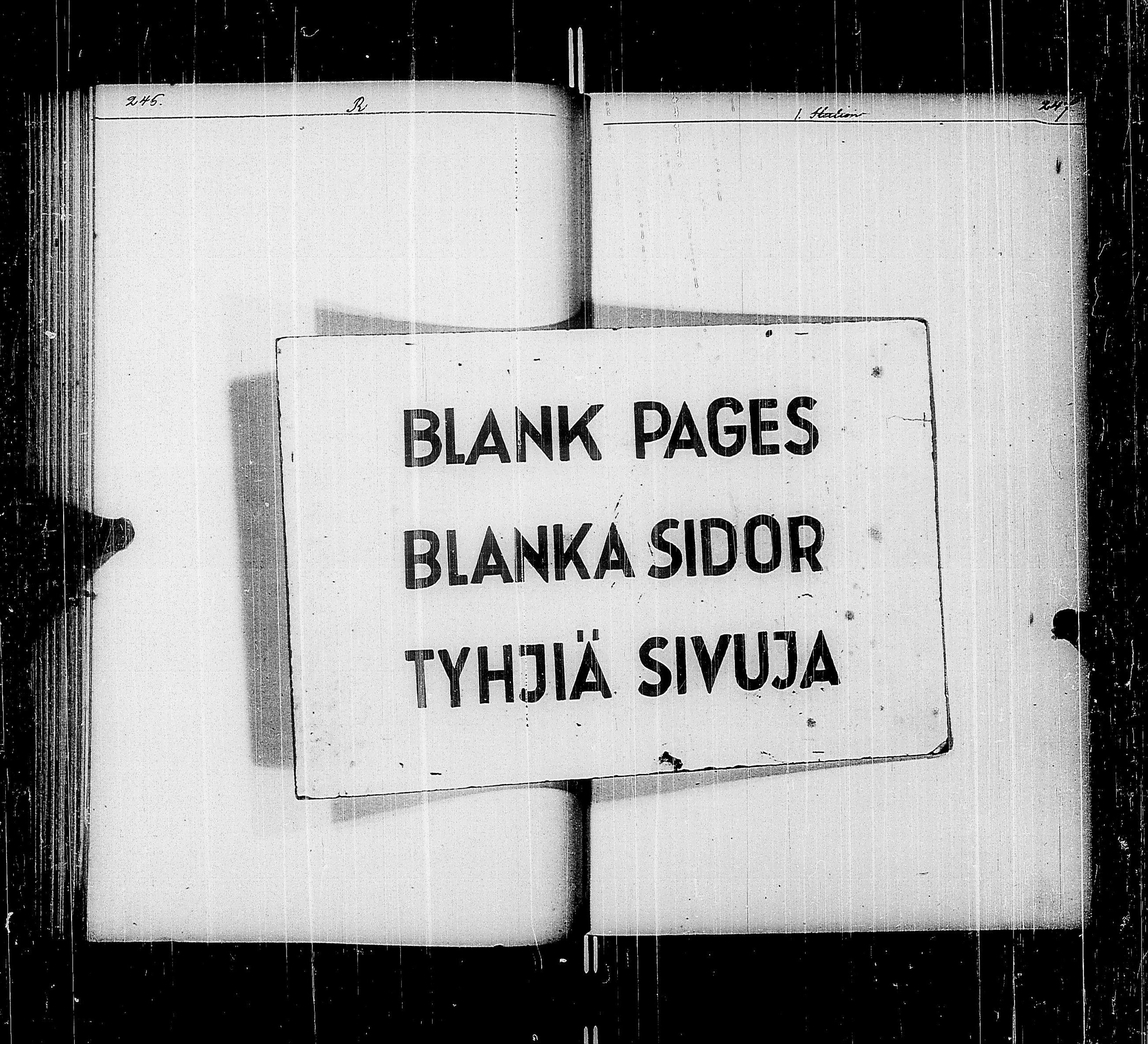 [ kuvat/89.jpg ]