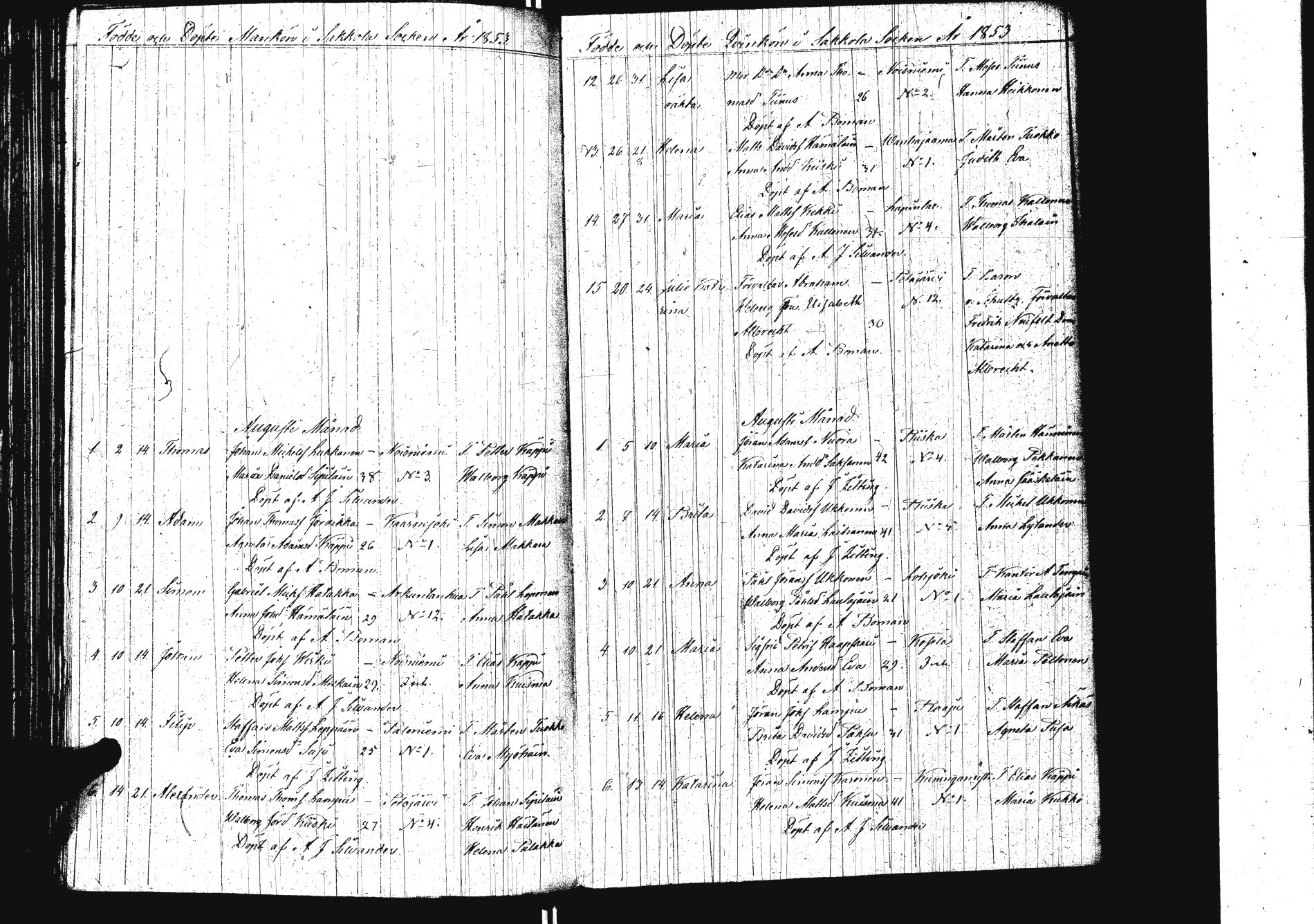 [ kuvat/206.jpg ]