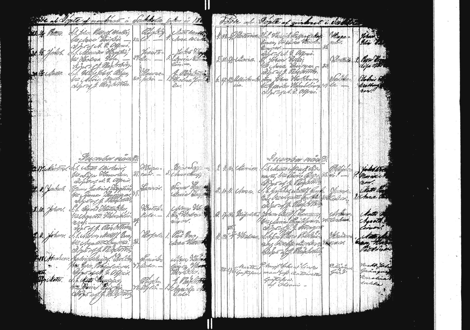 [ kuvat/176.jpg ]