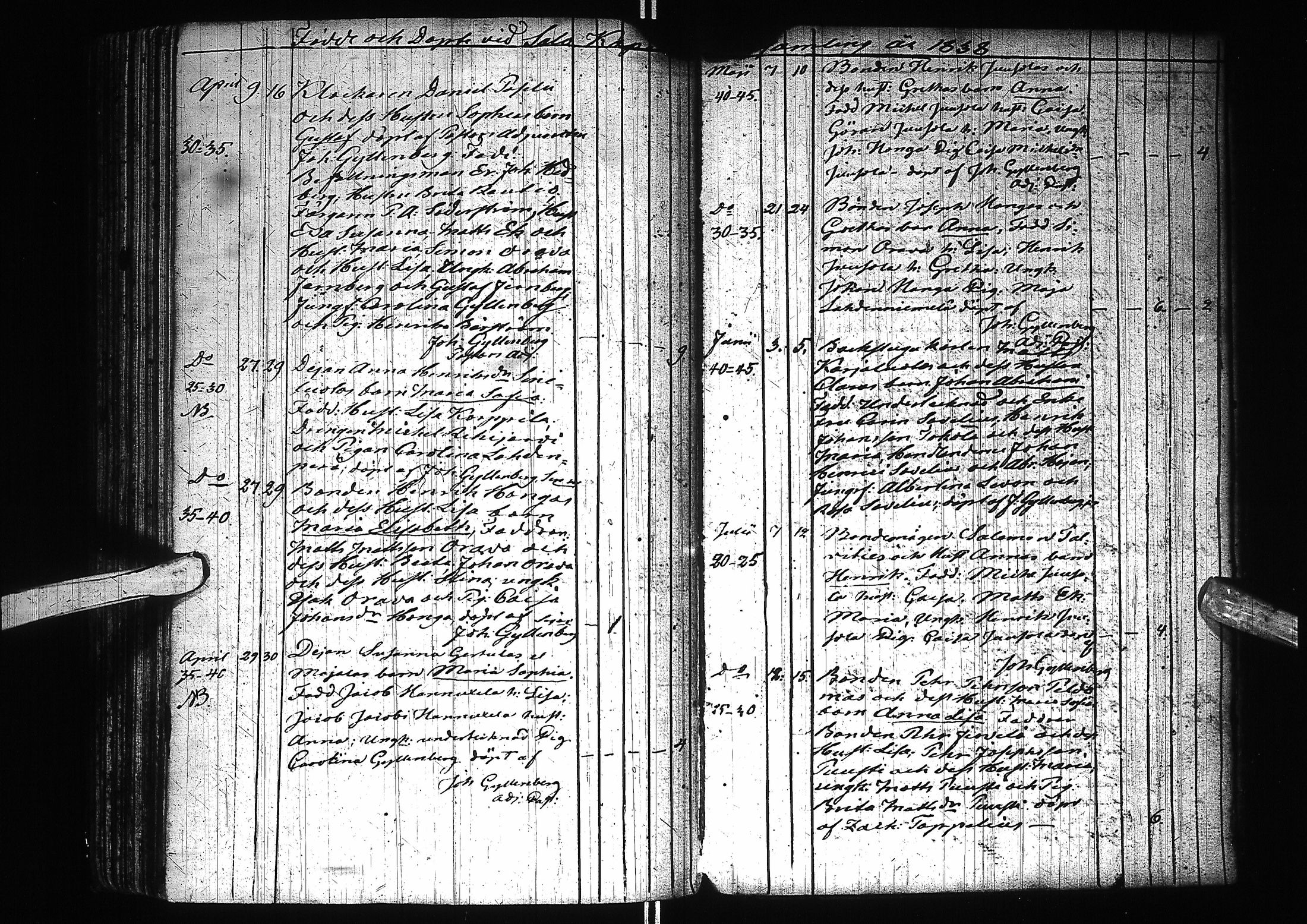 [ kuvat/217.jpg ]