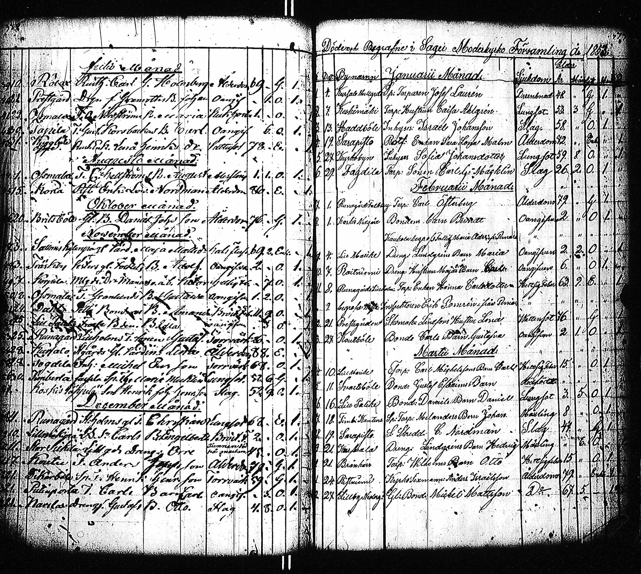 [ kuvat/190.jpg ]