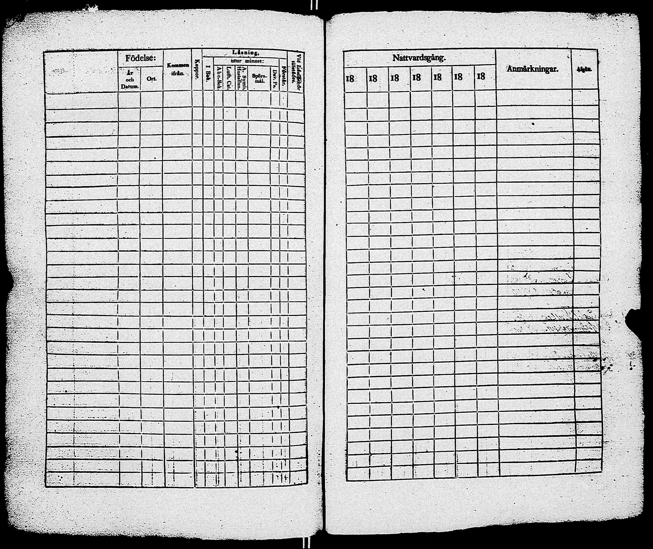 [ kuvat/197.jpg ]