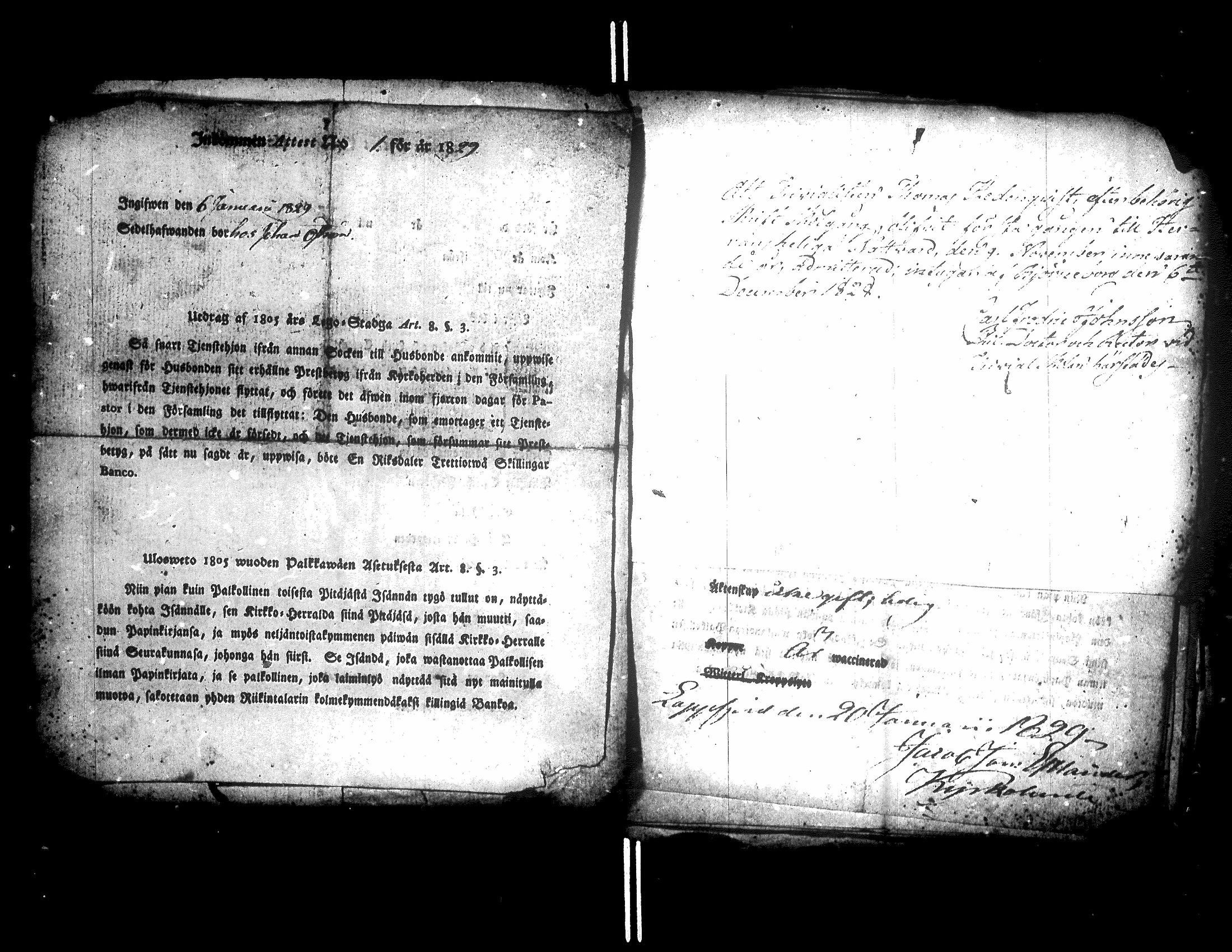 [ kuvat/229.jpg ]