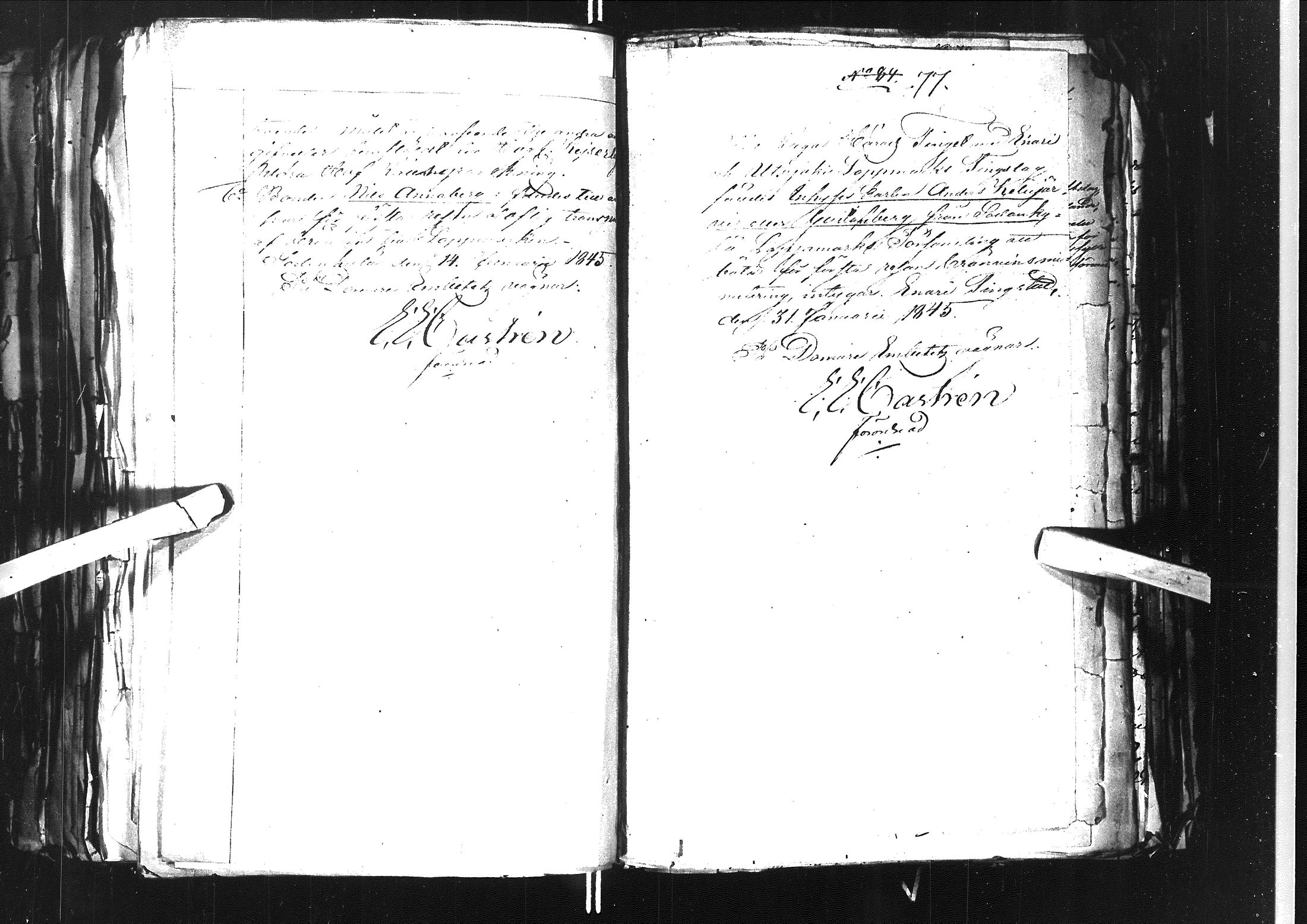 [ kuvat/262.jpg ]