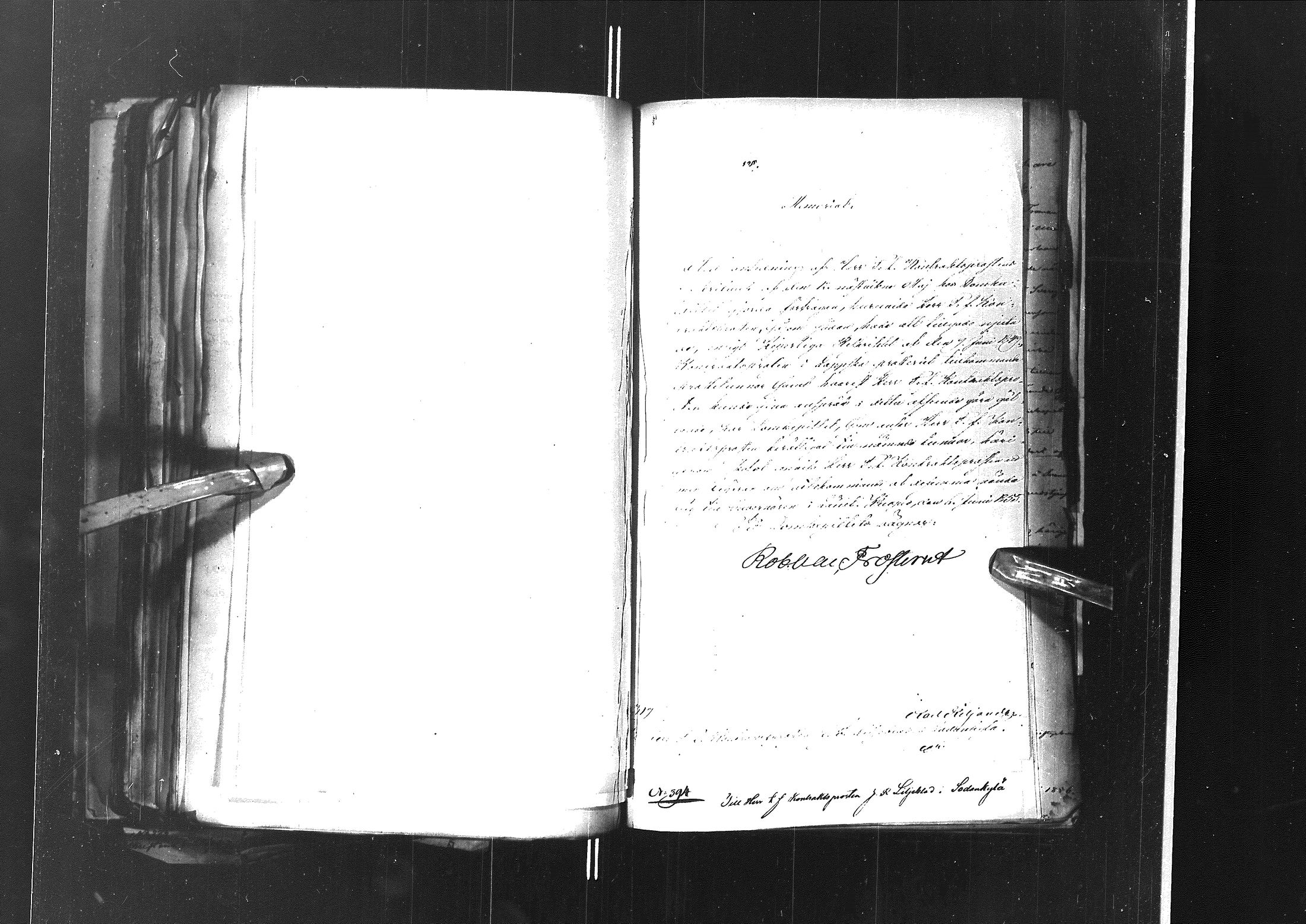 [ kuvat/401.jpg ]