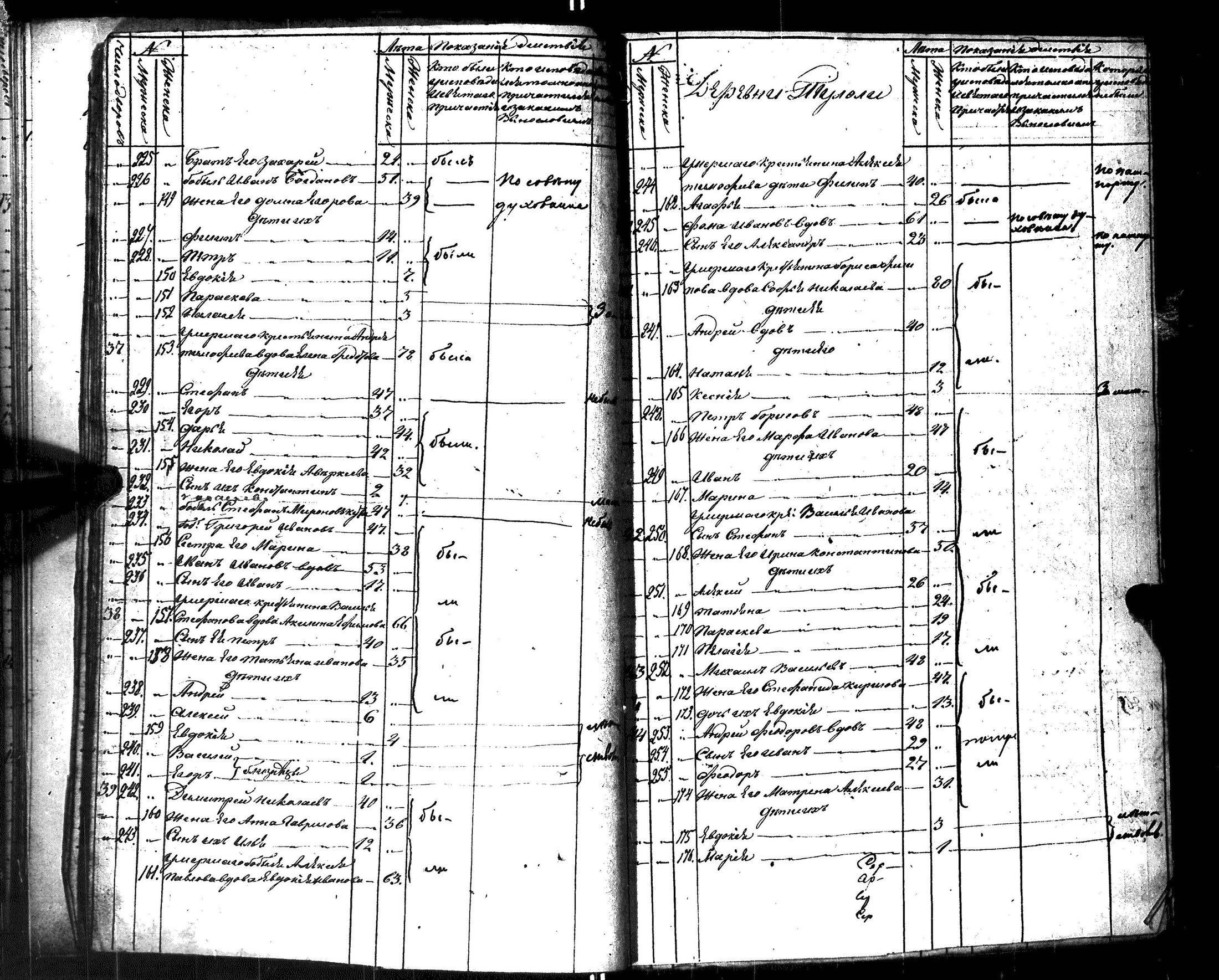 [ kuvat/216.jpg ]