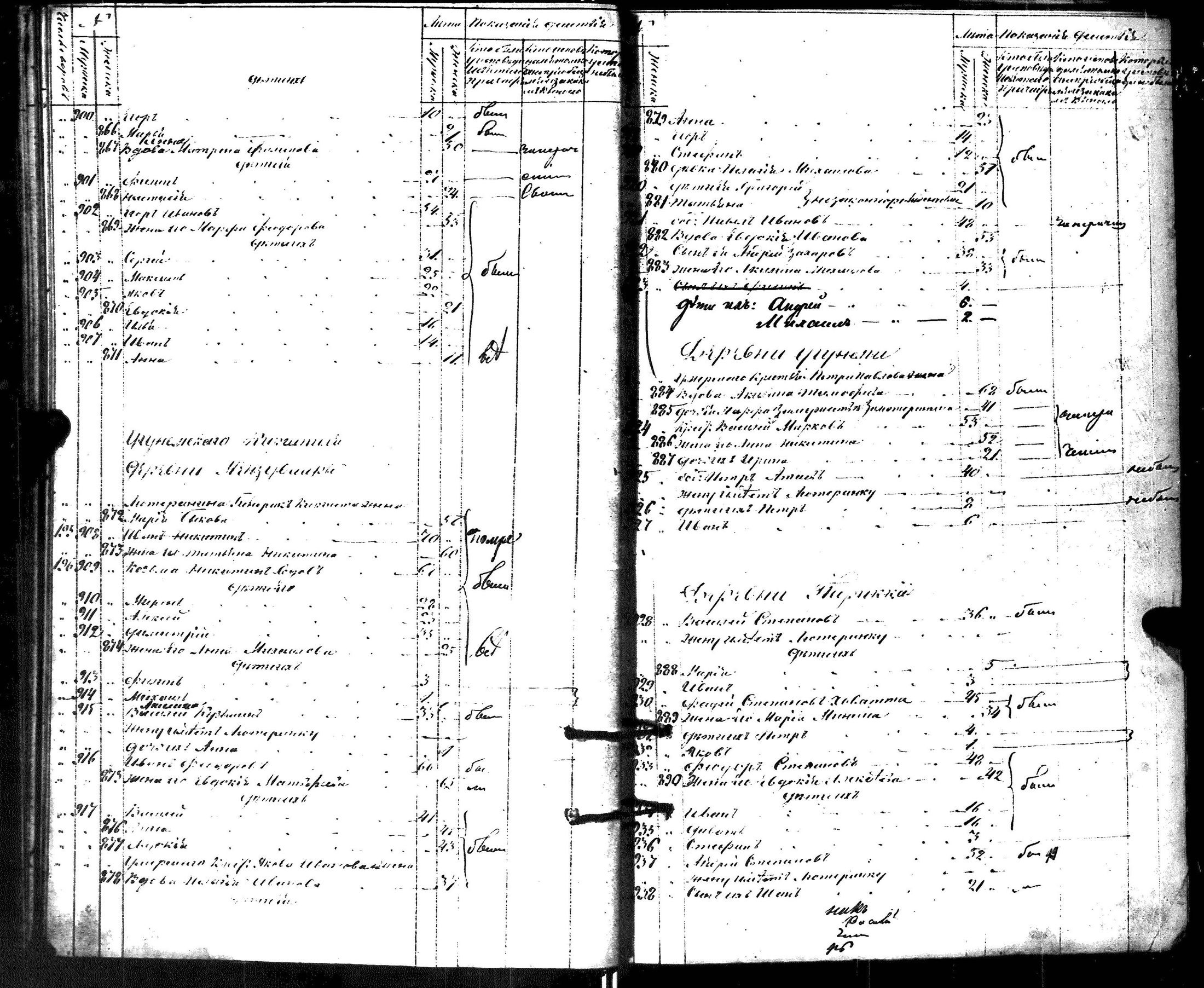 [ kuvat/487.jpg ]