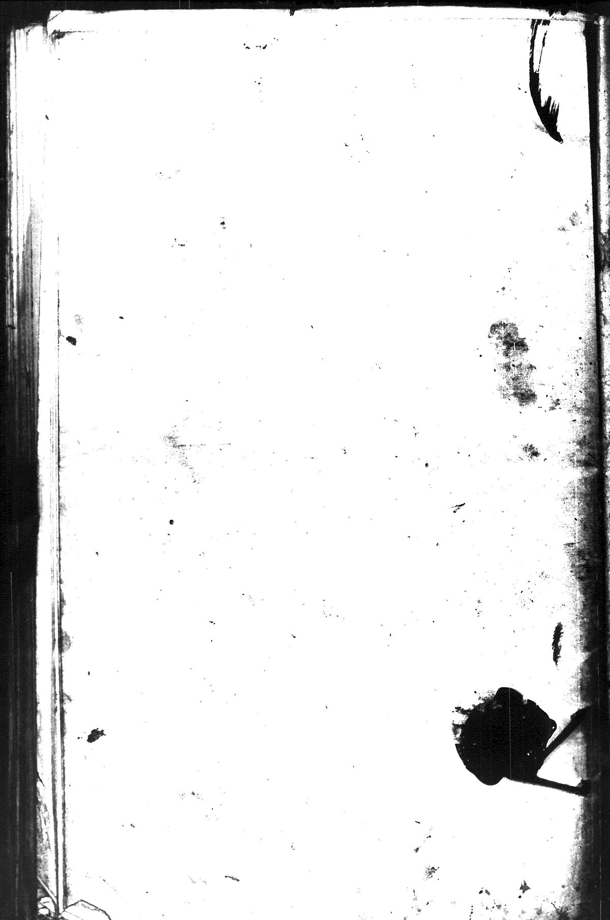 [ kuvat/348.jpg ]