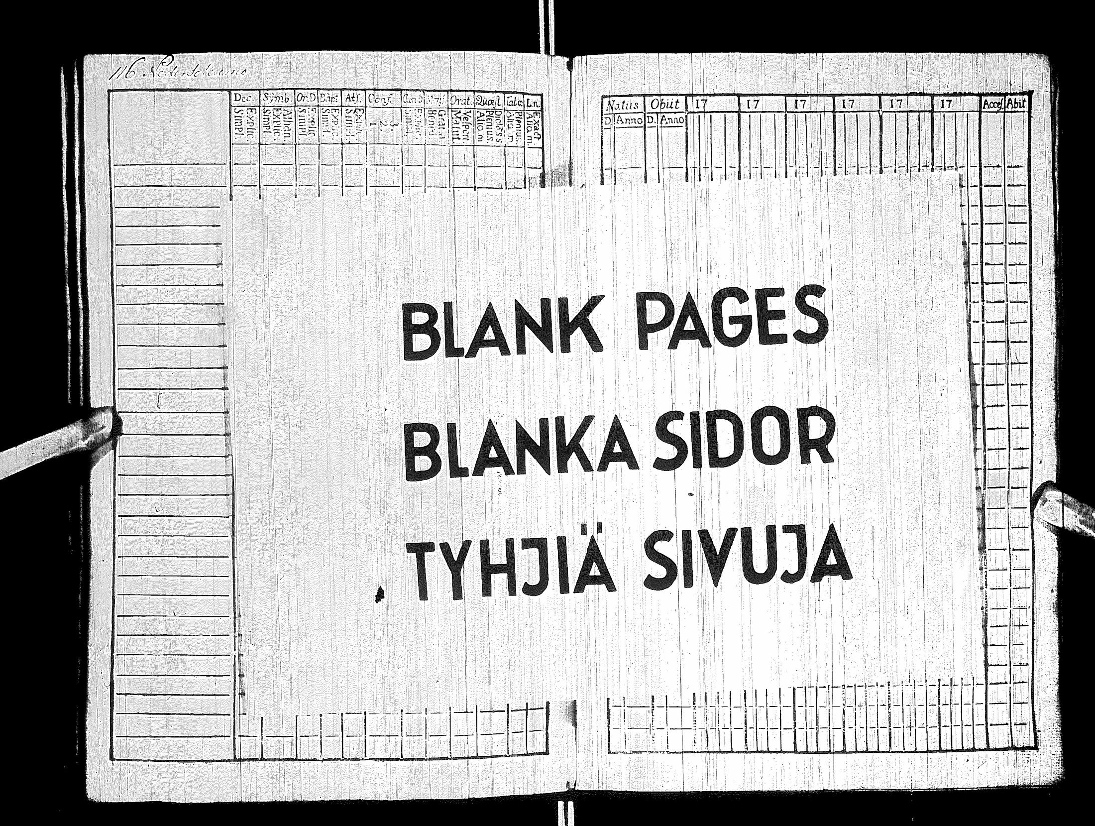 [ kuvat/120.jpg ]