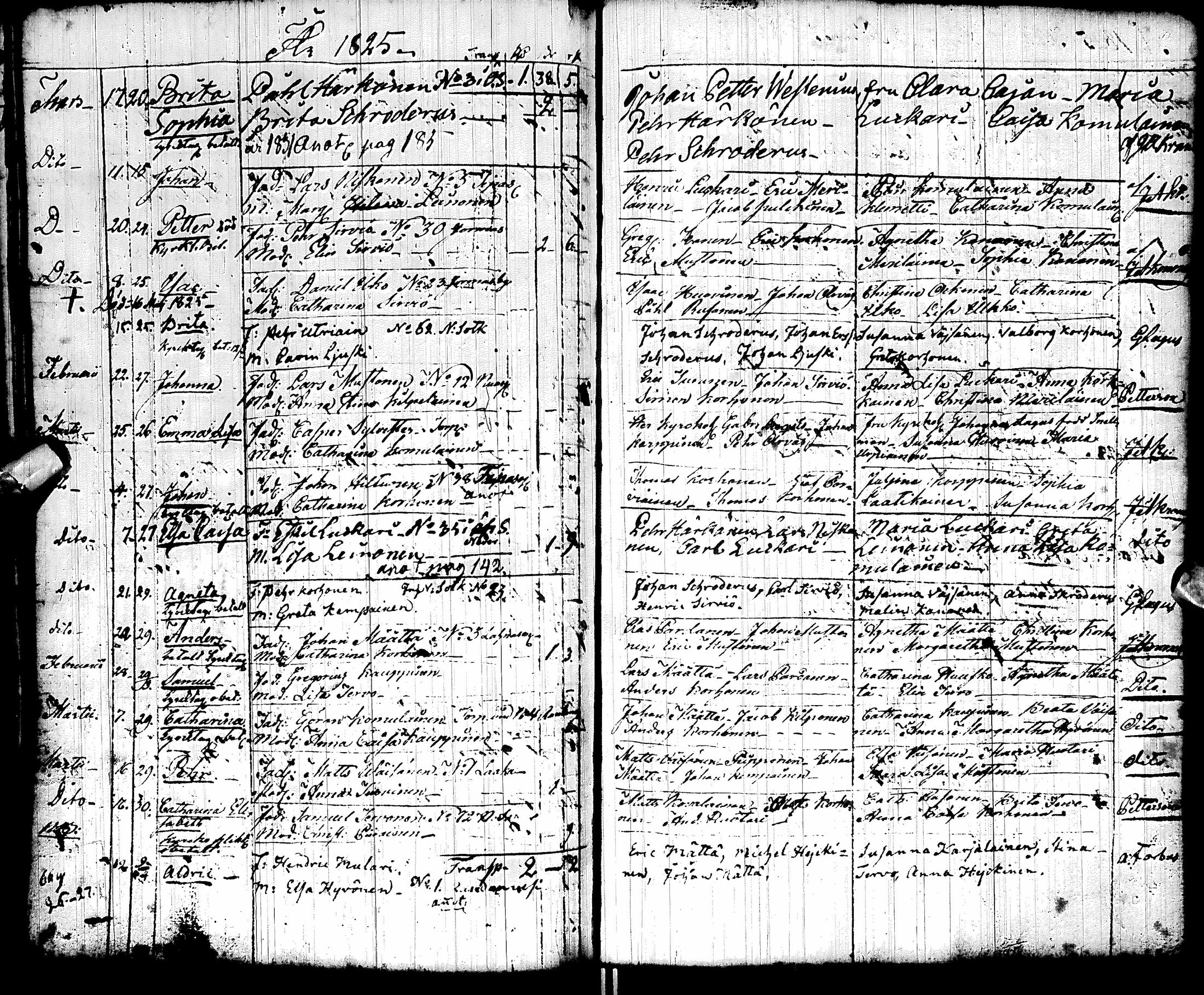 [ kuvat/118.jpg ]