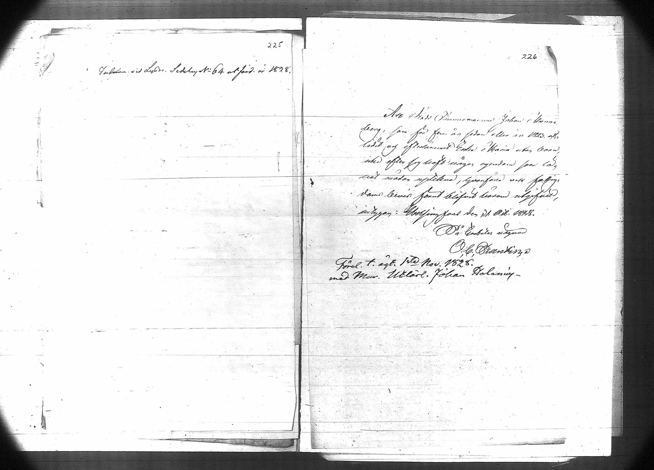[ kuvat/203.jpg ]