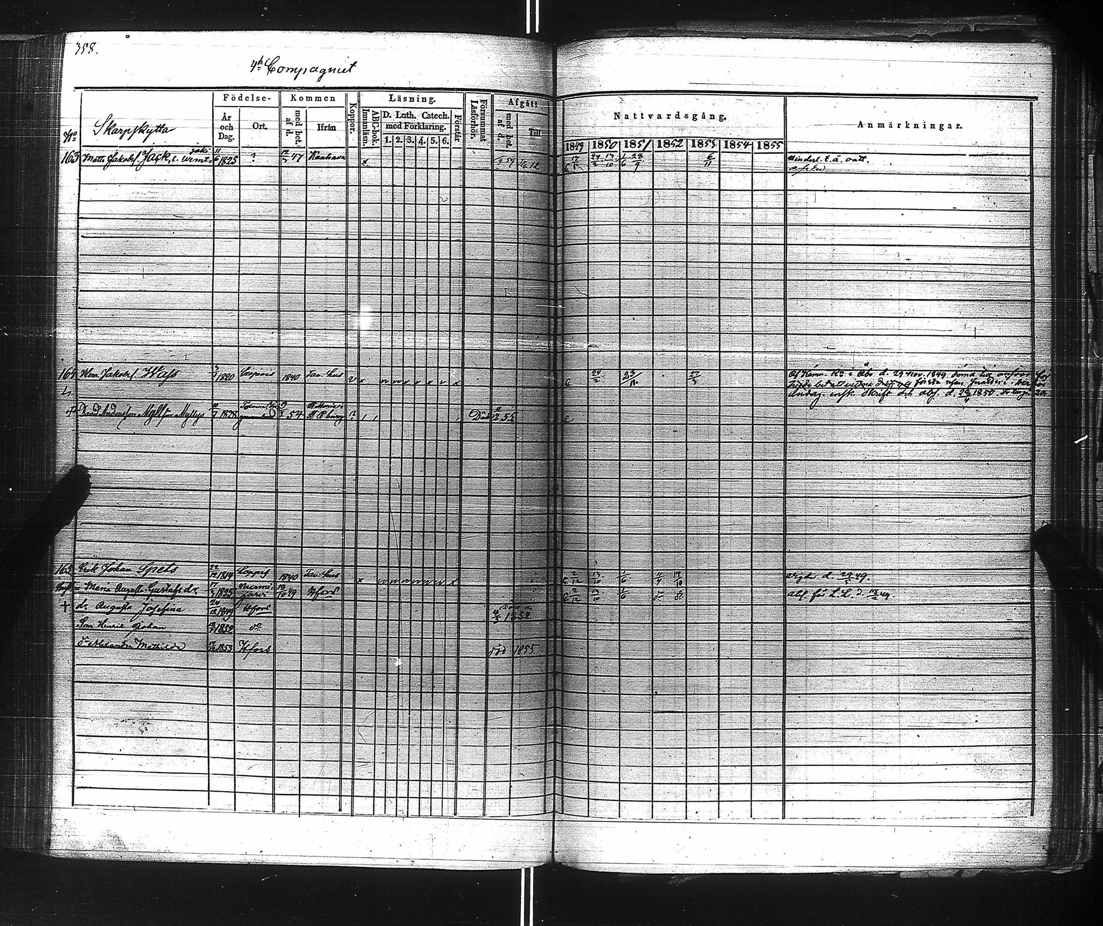 [ kuvat/350.jpg ]