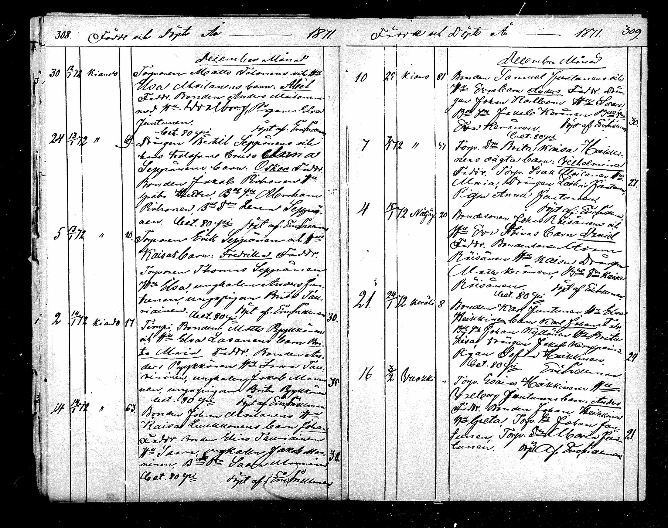 [ kuvat/173.jpg ]