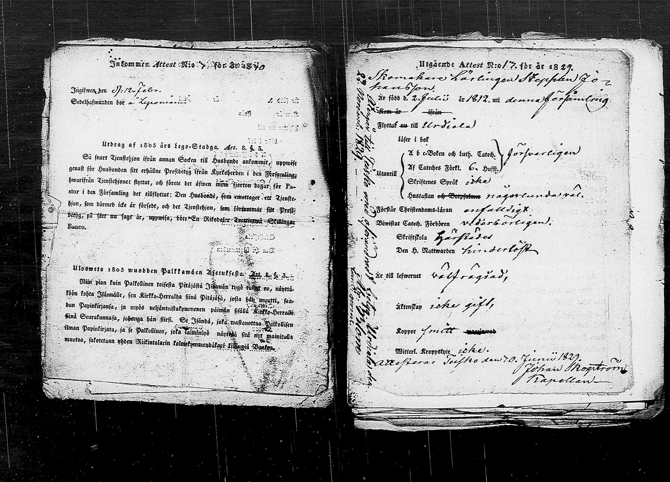 [ kuvat/206.jpg ]