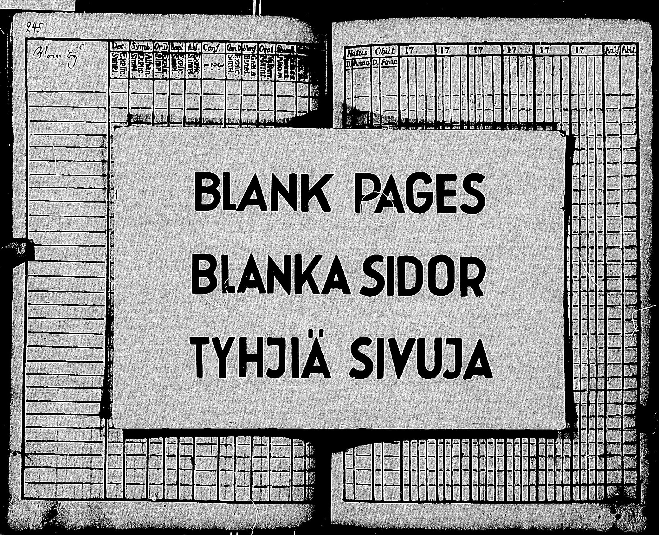 [ kuvat/239.jpg ]