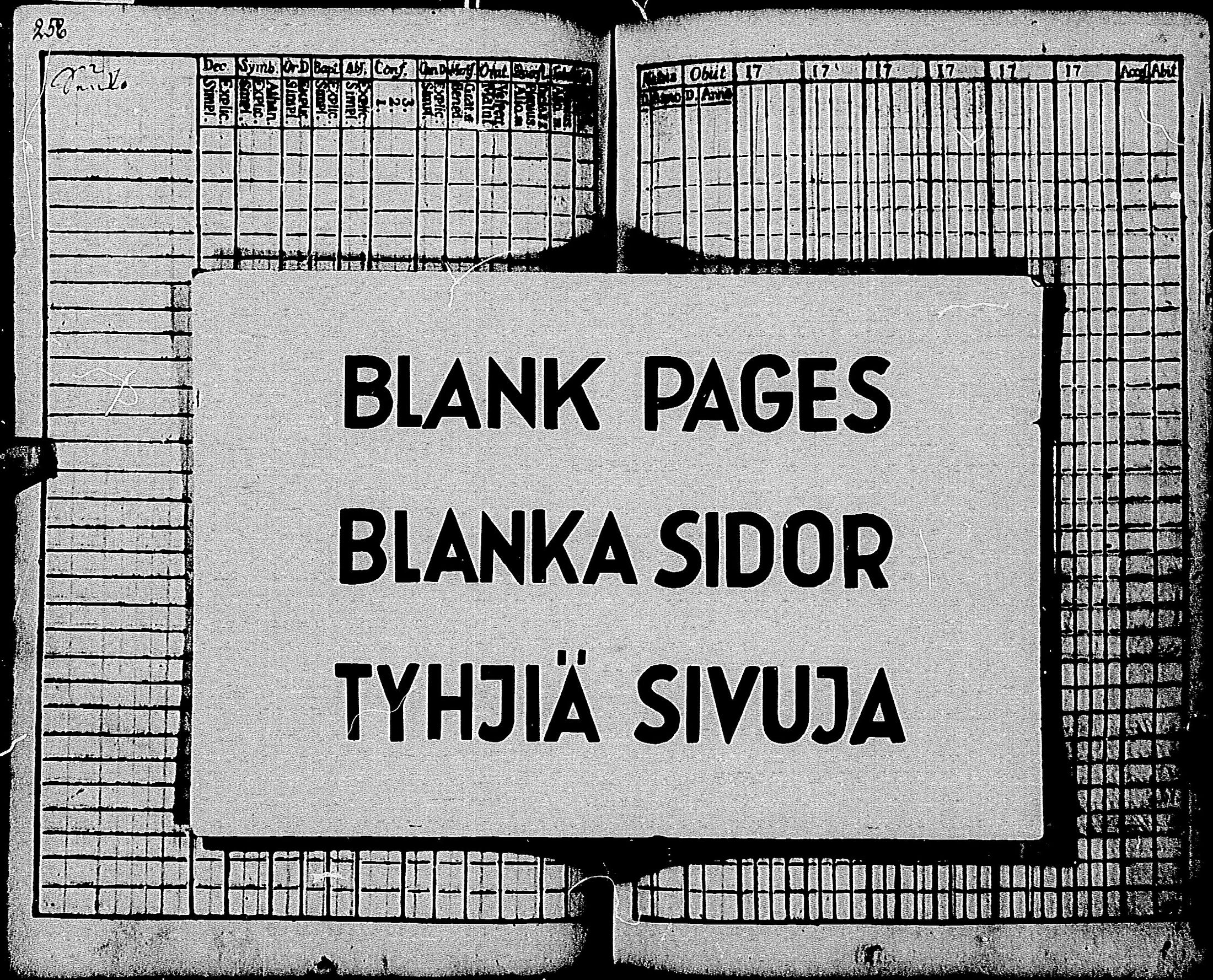 [ kuvat/251.jpg ]