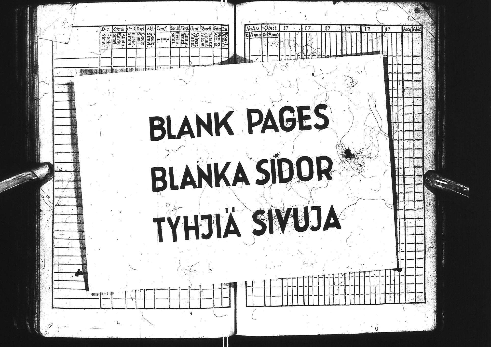 [ kuvat/164.jpg ]