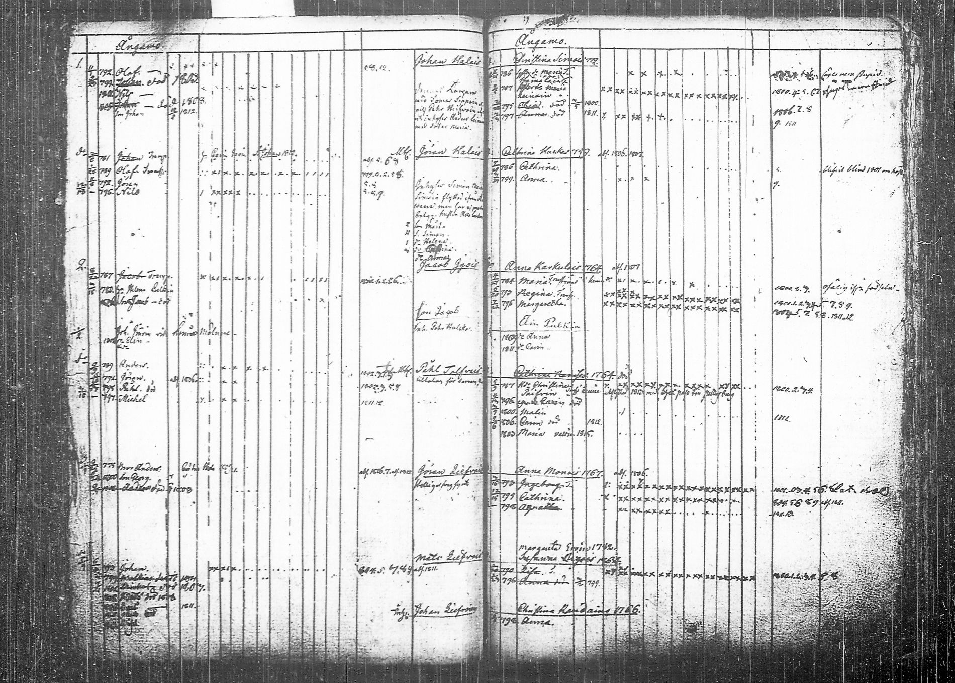 [ kuvat/125.jpg ]