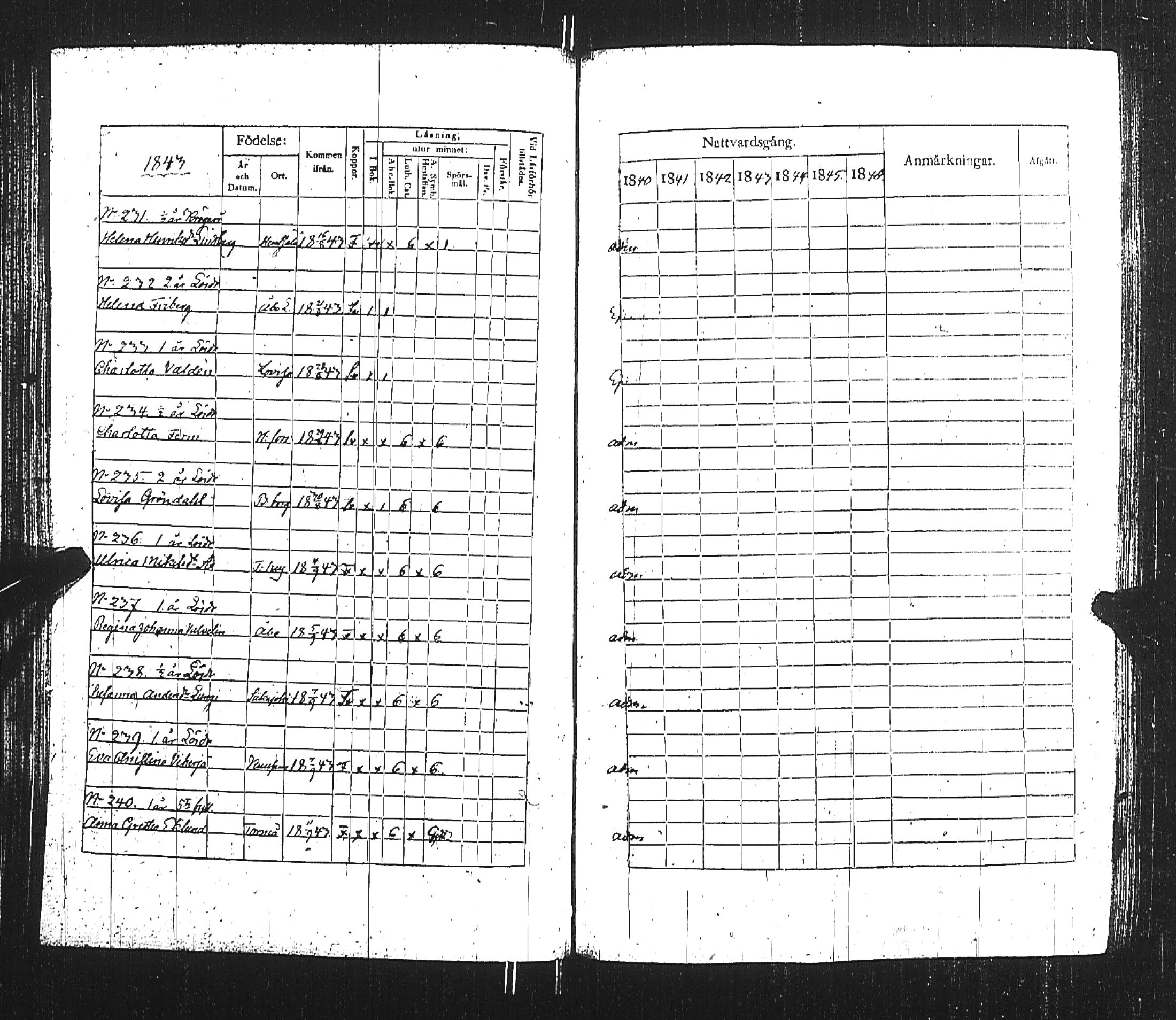 [ kuvat/82.jpg ]