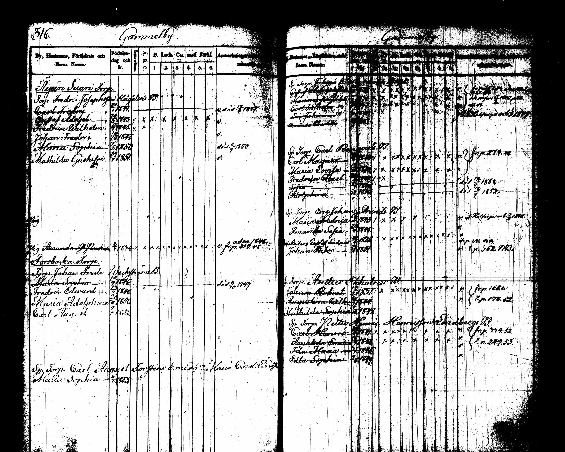 [ kuvat/171.jpg ]