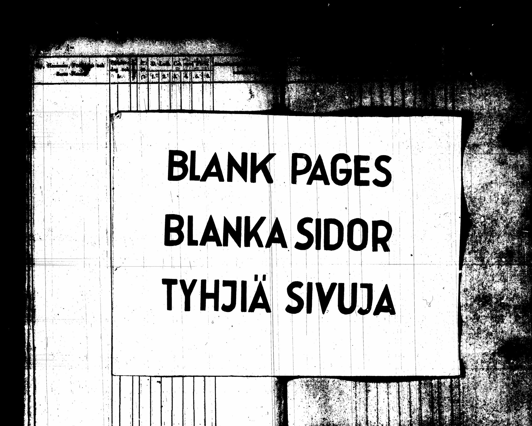 [ kuvat/206.jpg ]