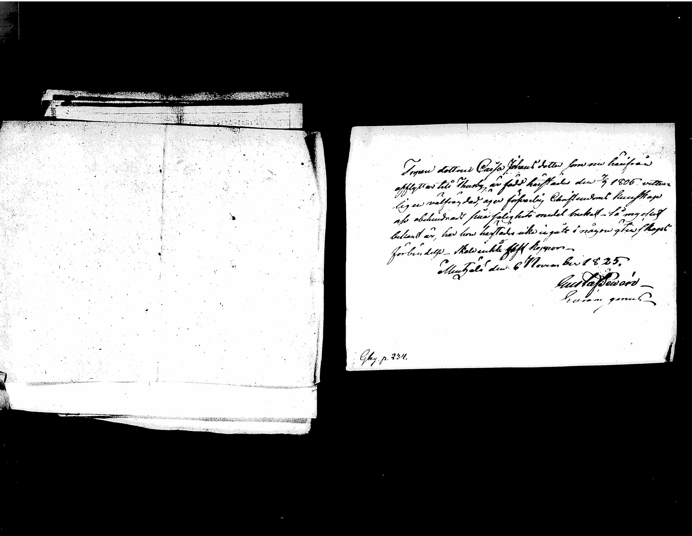 [ kuvat/262.jpg ]
