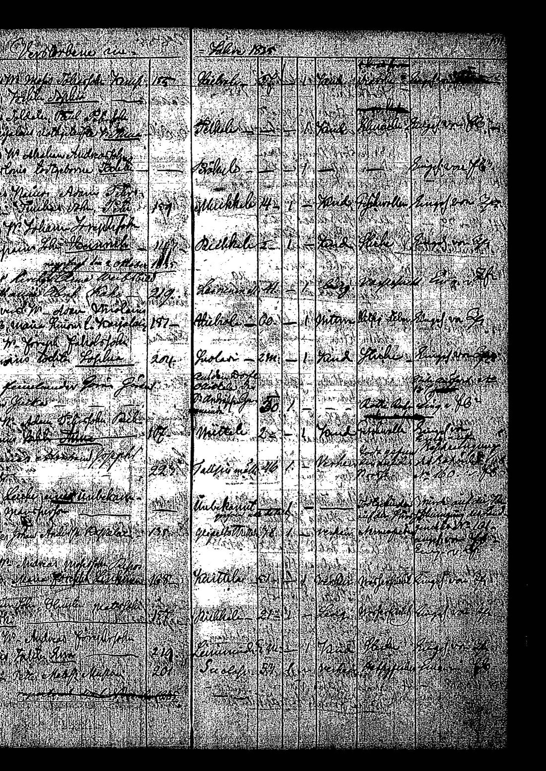 [ kuvat/189.jpg ]